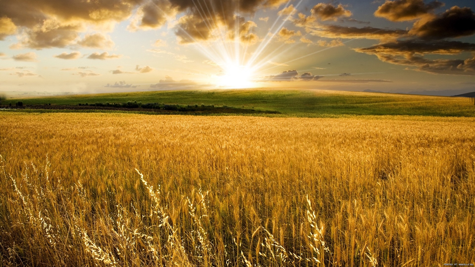 Laden Sie das Sun, Clouds, Landschaft, Felder-Bild kostenlos auf Ihren PC-Desktop herunter