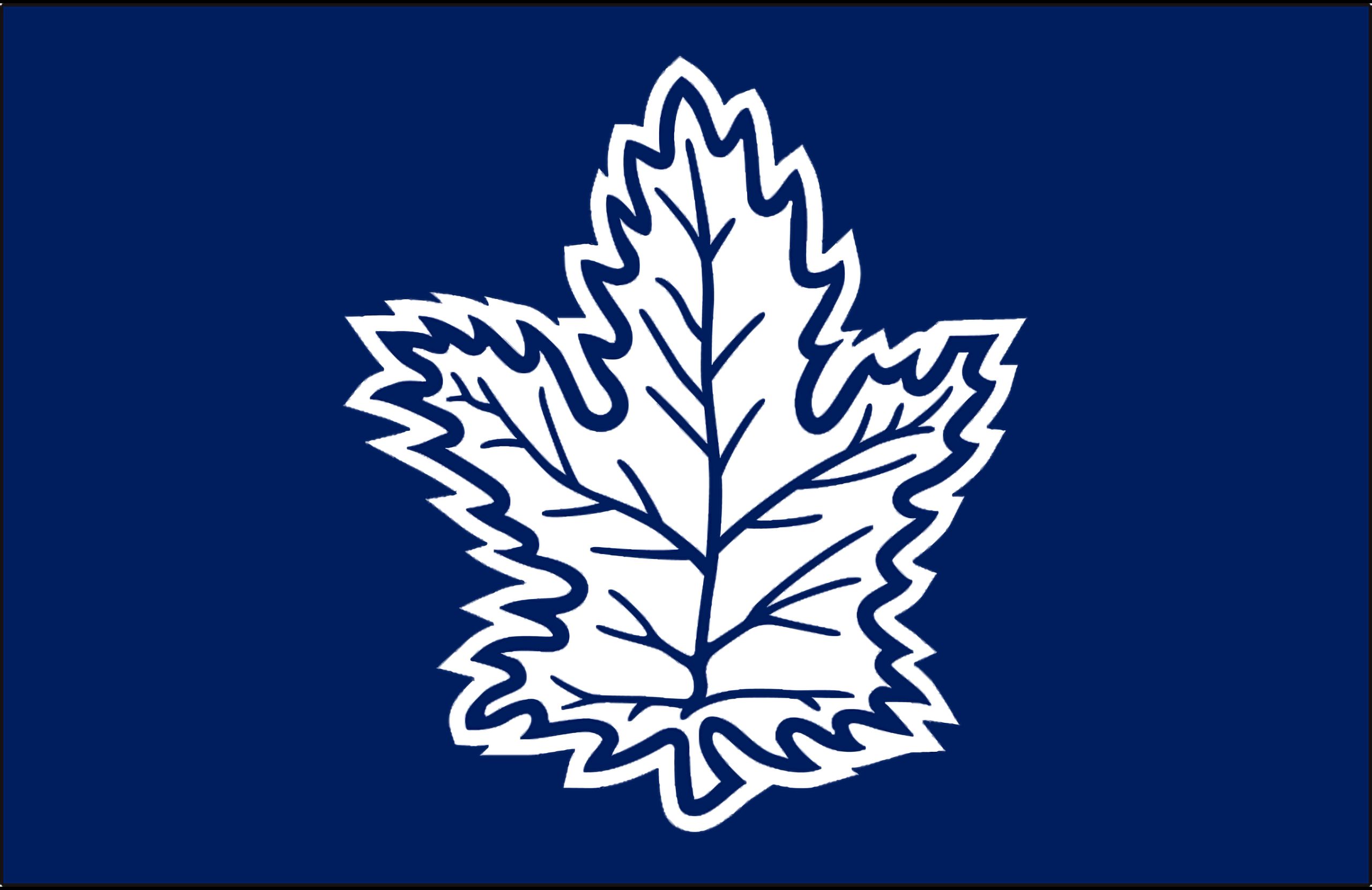 Téléchargez gratuitement l'image Des Sports, Le Hockey, Maple Leafs De Toronto sur le bureau de votre PC