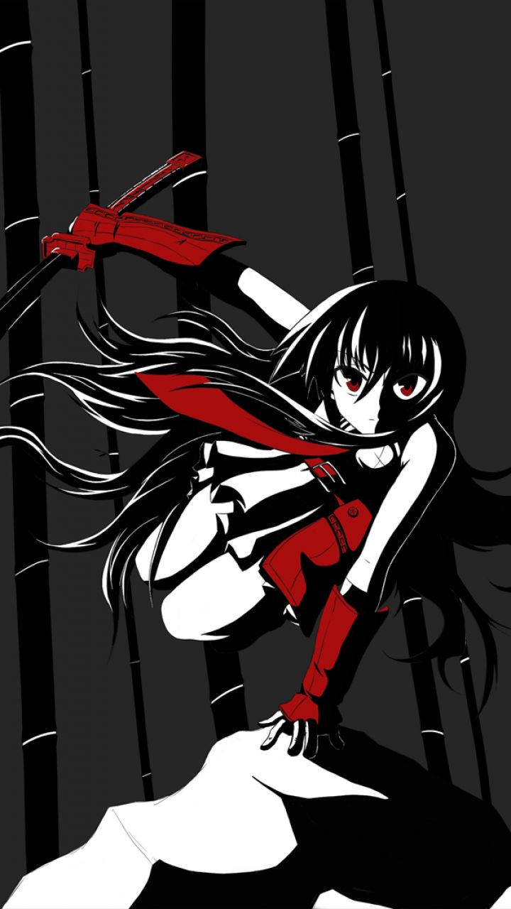 Download mobile wallpaper Anime, Akame (Akame Ga Kill!), Akame Ga Kill! for free.