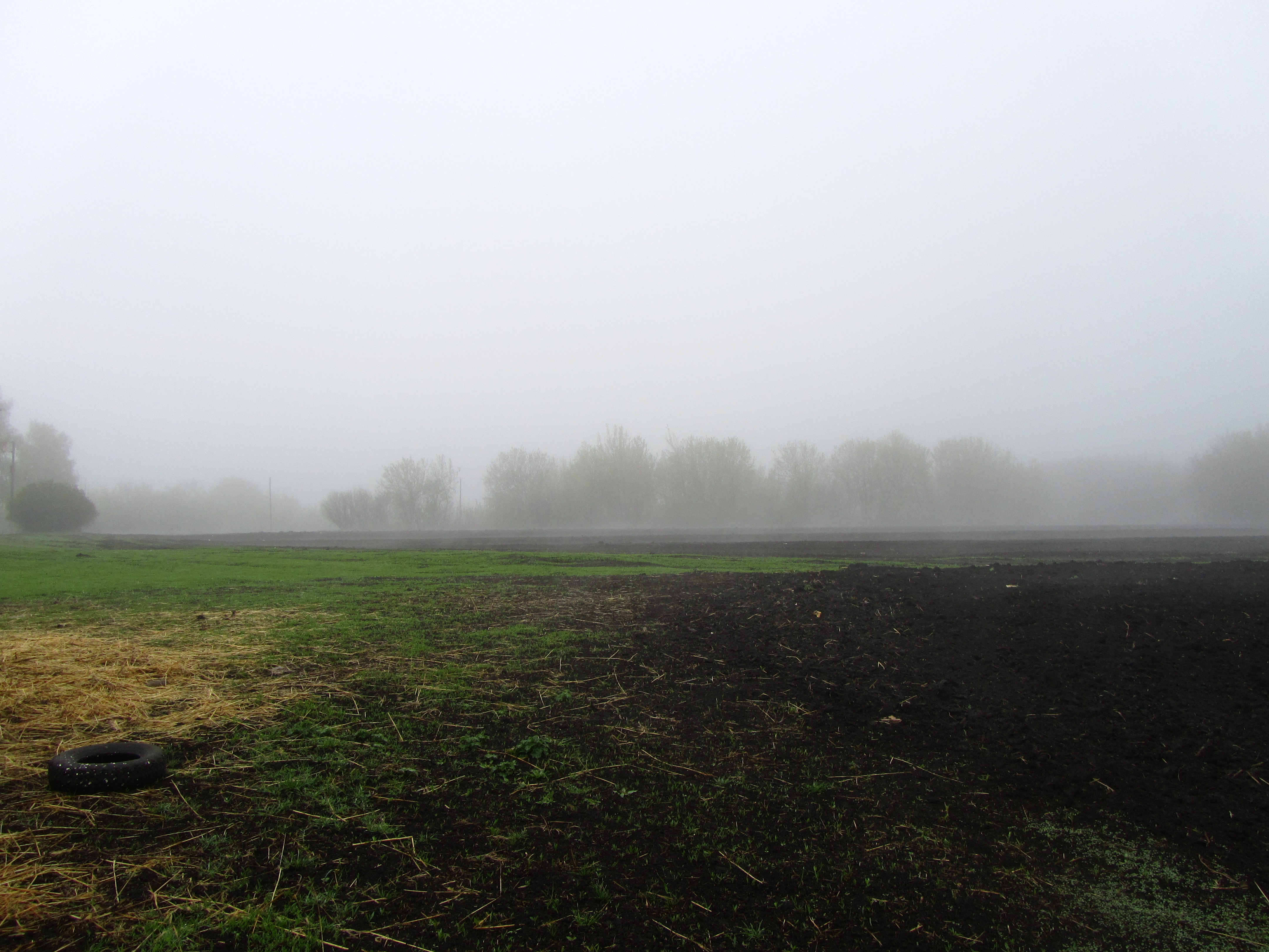 Baixe gratuitamente a imagem Terra/natureza, Neblina na área de trabalho do seu PC