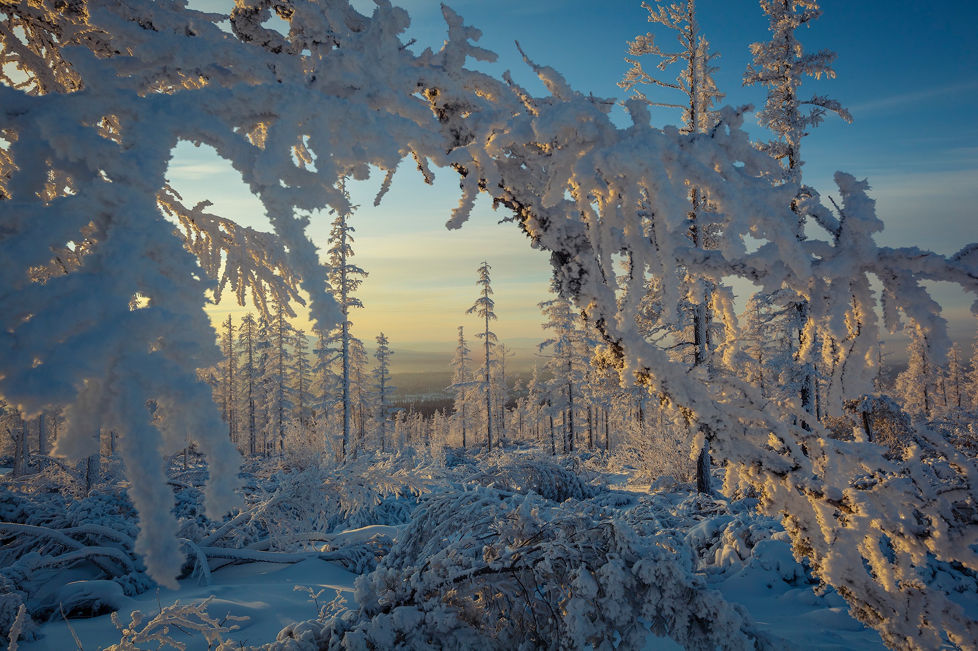 Скачать обои бесплатно Зима, Природа, Снег, Дерево, Ландшафт, Земля/природа картинка на рабочий стол ПК