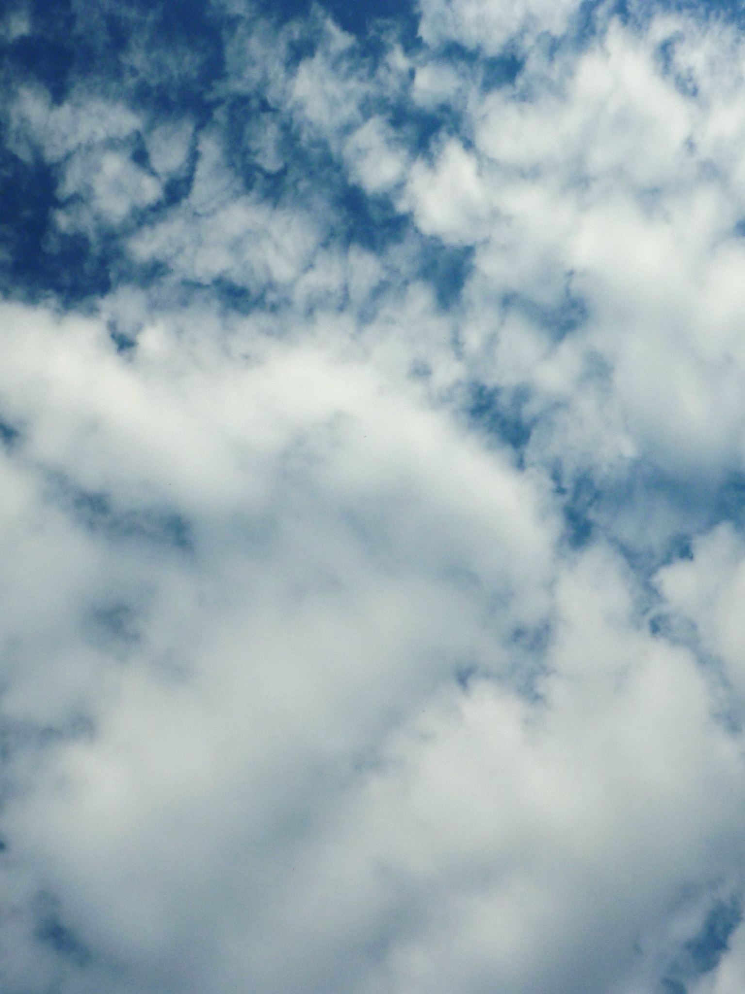 Descarga gratuita de fondo de pantalla para móvil de Cielo, Nube, Tierra/naturaleza.