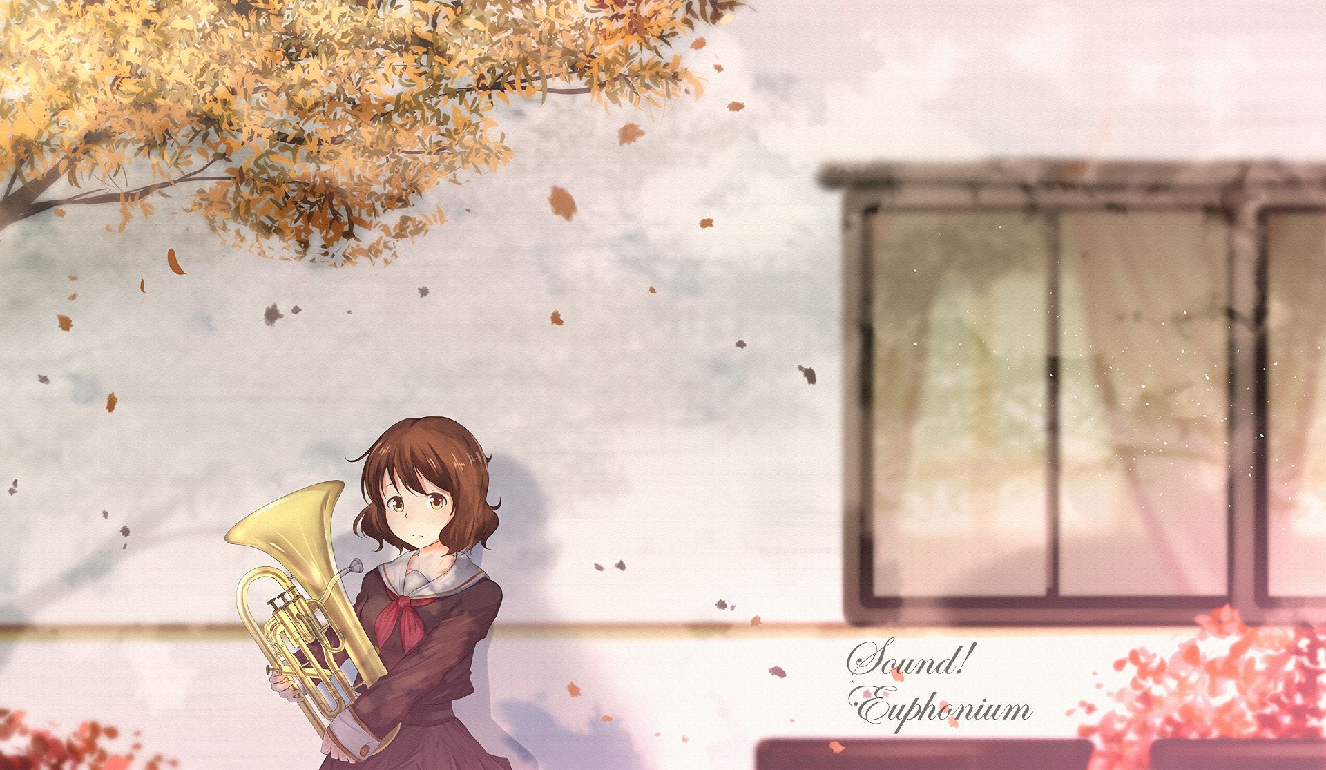 Téléchargez gratuitement l'image Animé, Hibike! Euphonium sur le bureau de votre PC