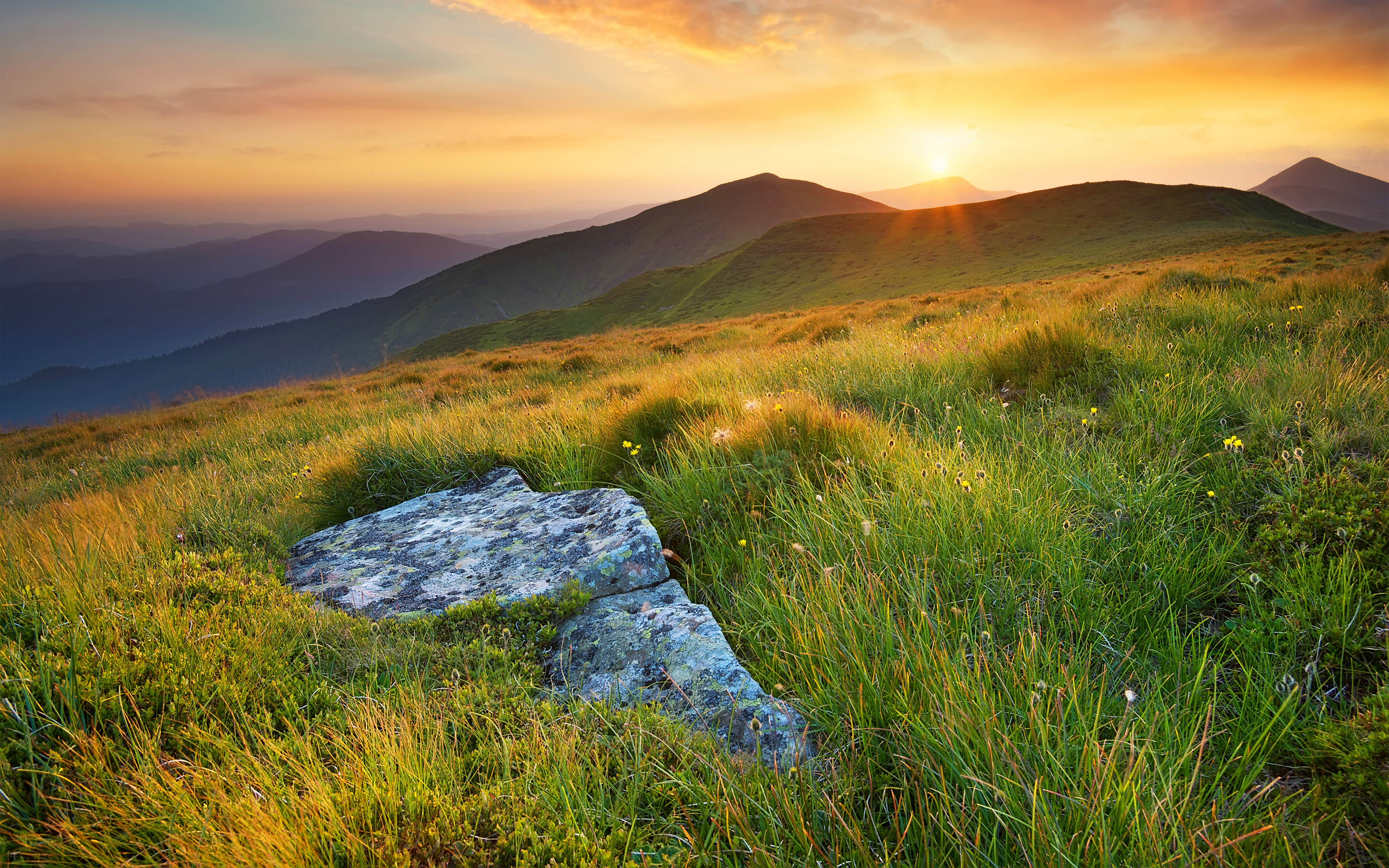 Free download wallpaper Landscape, Nature, Grass, Sun, Earth, Hill, Meadow on your PC desktop