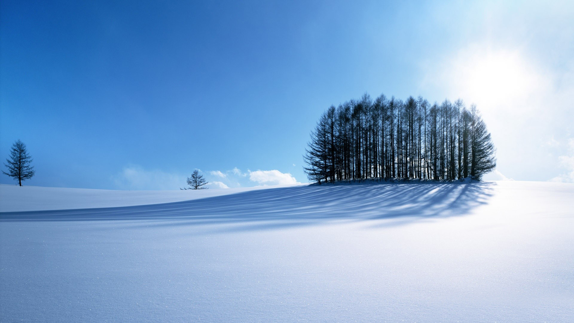 Handy-Wallpaper Landschaft, Winter, Natur, Schnee, Baum, Sonnig, Erde/natur kostenlos herunterladen.