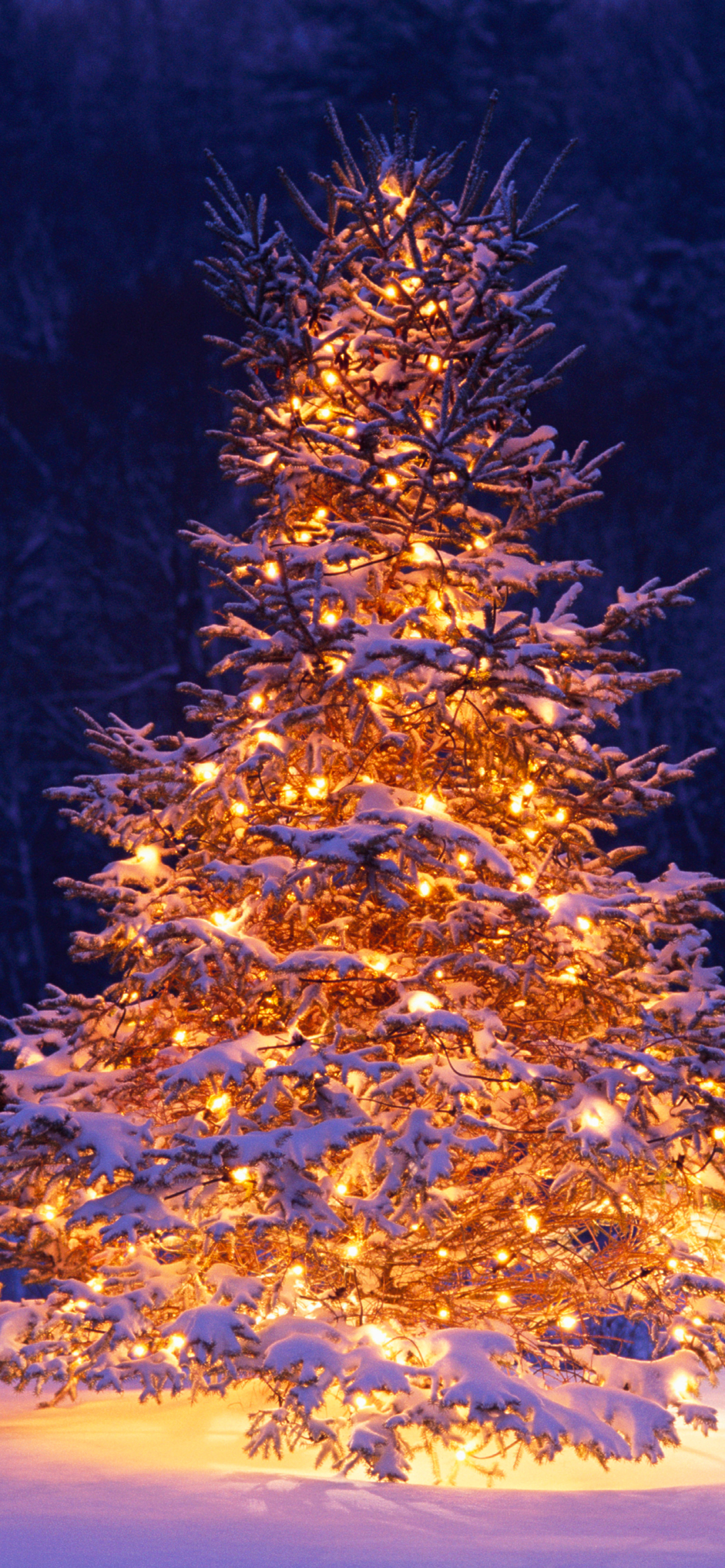 Скачать картинку Зима, Снег, Огни, Дерево, Рождество, Рождественская Елка, Праздничные в телефон бесплатно.
