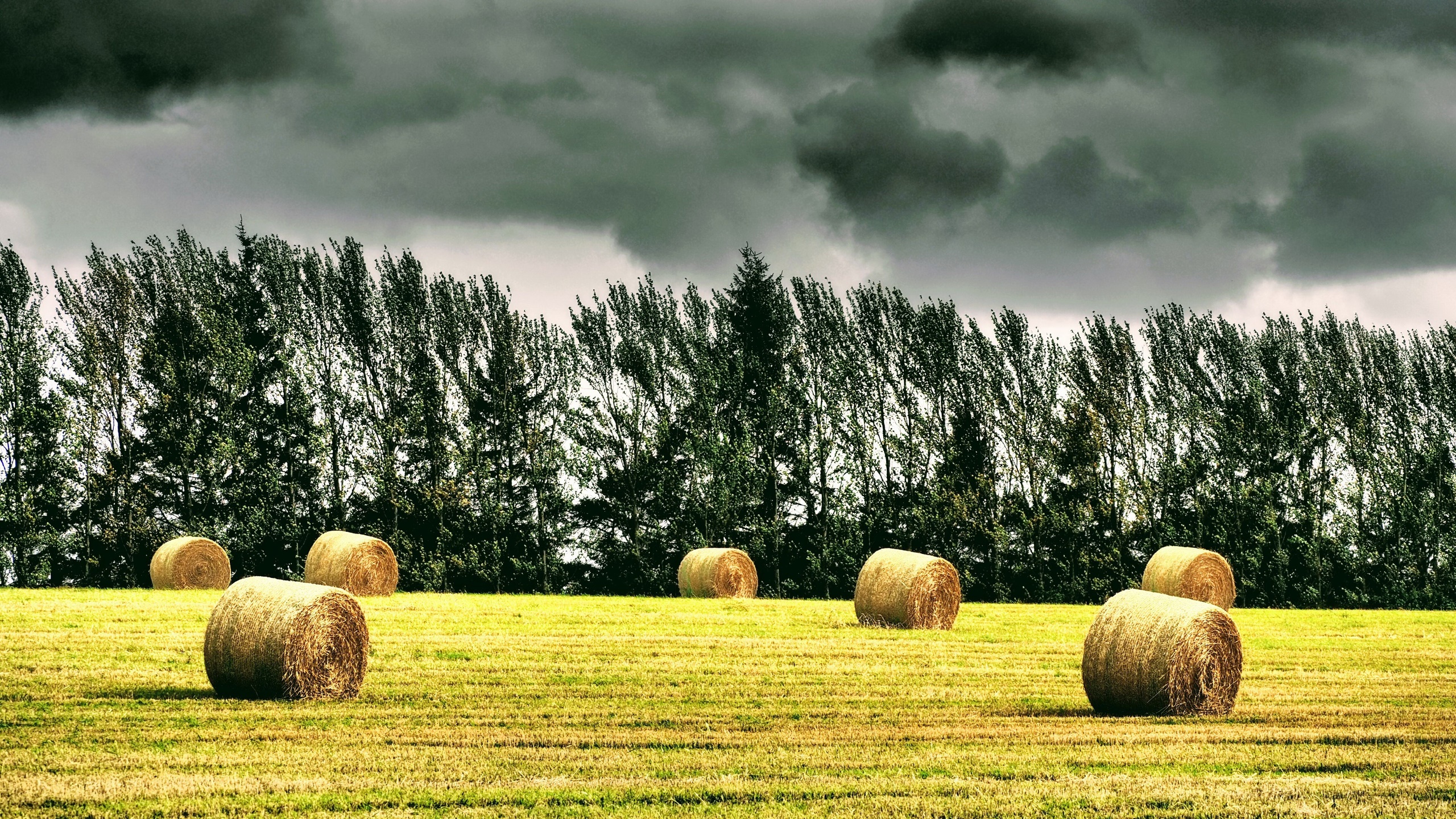 Download mobile wallpaper Earth, Field, Haystack for free.