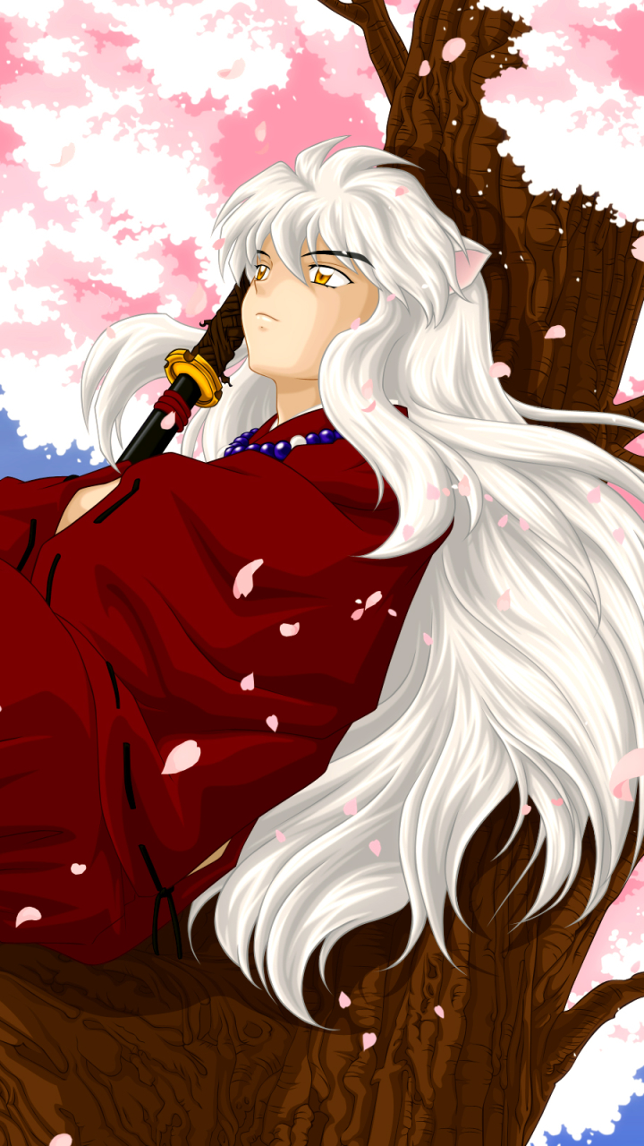 Download mobile wallpaper Anime, Inuyasha, Inuyasha (Character) for free.