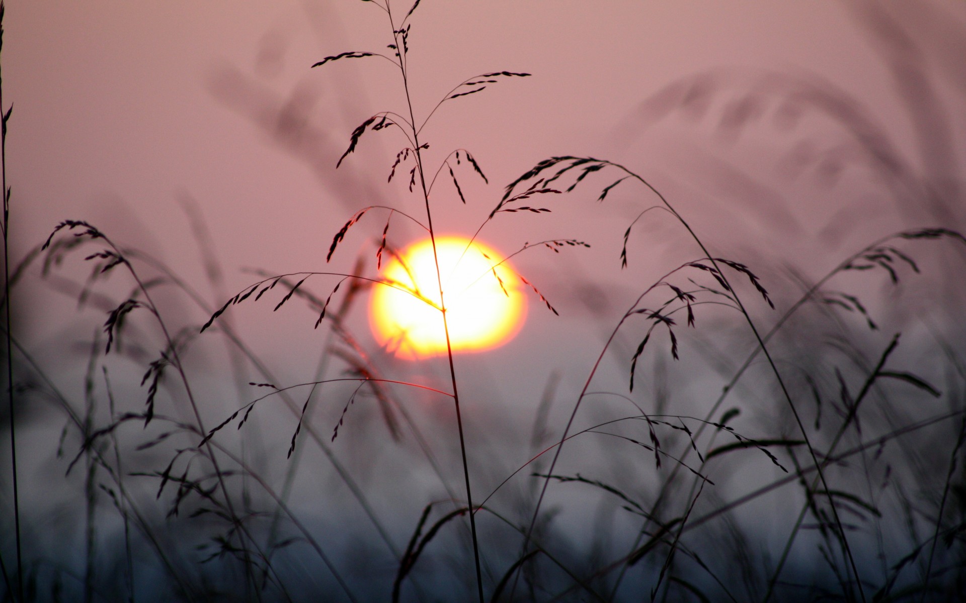 Handy-Wallpaper Sonnenuntergang, Erde/natur kostenlos herunterladen.