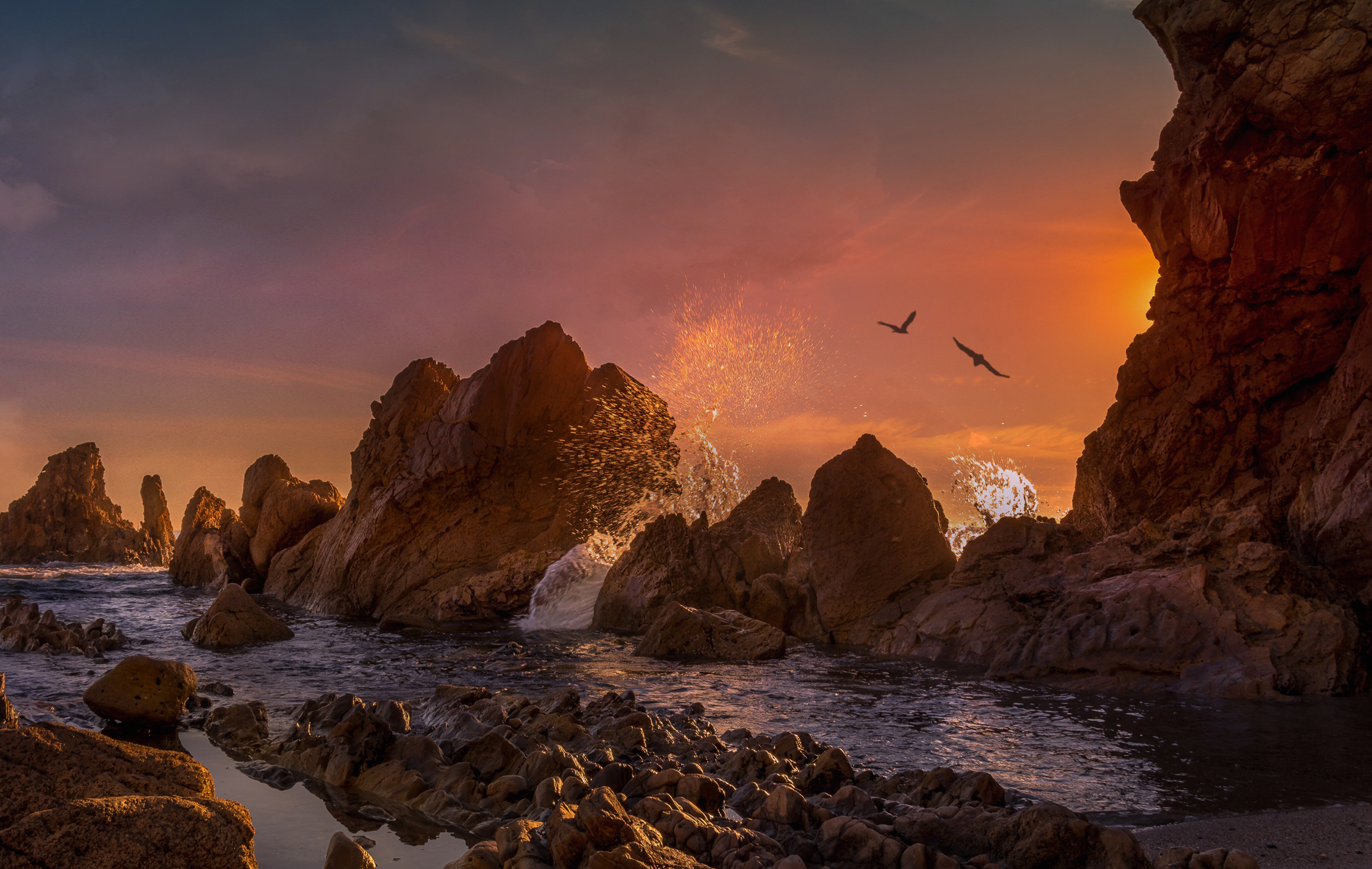 Download mobile wallpaper Sunset, Rock, Bird, Ocean, Earth for free.