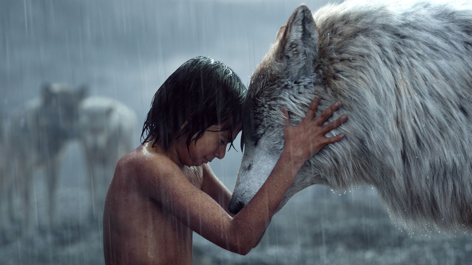 379567 descargar fondo de pantalla lobo, películas, el libro de la selva (2016), parejas, mowgli, el libro de la selva: protectores de pantalla e imágenes gratis