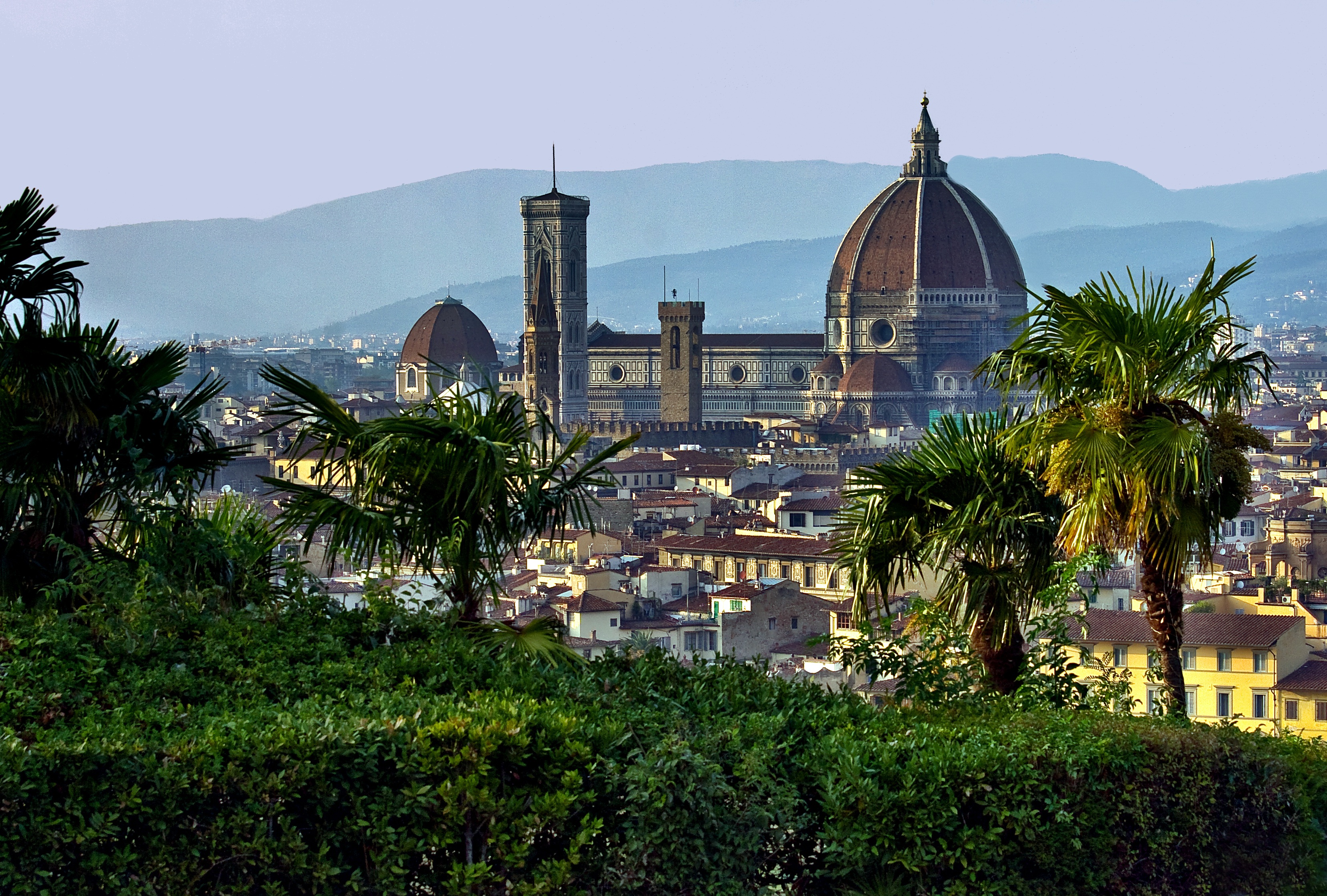 139057 скачать обои флоренция, италия, города, пальмы, купол, тоскана - заставки и картинки бесплатно