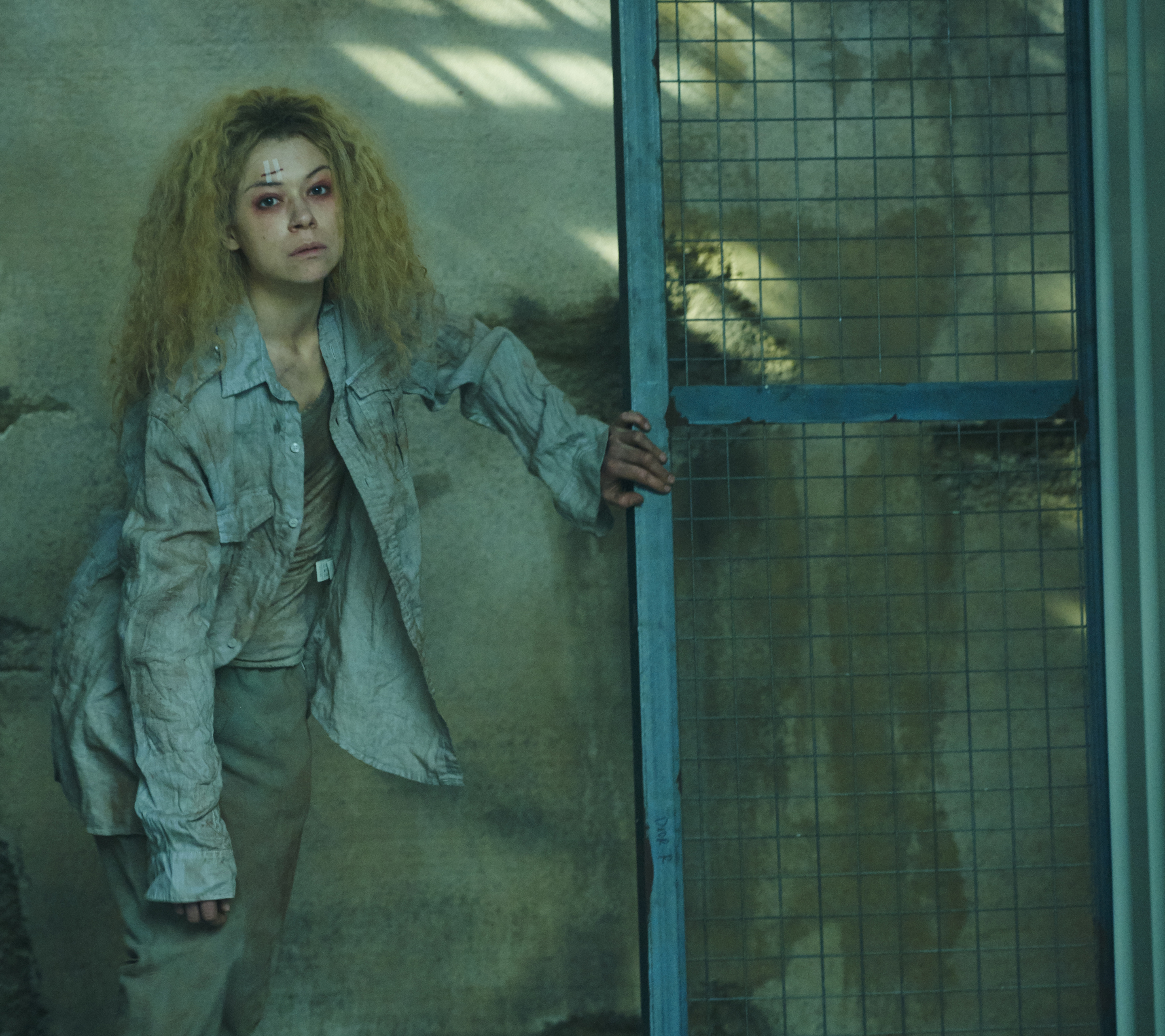 Download mobile wallpaper Tv Show, Orphan Black for free.