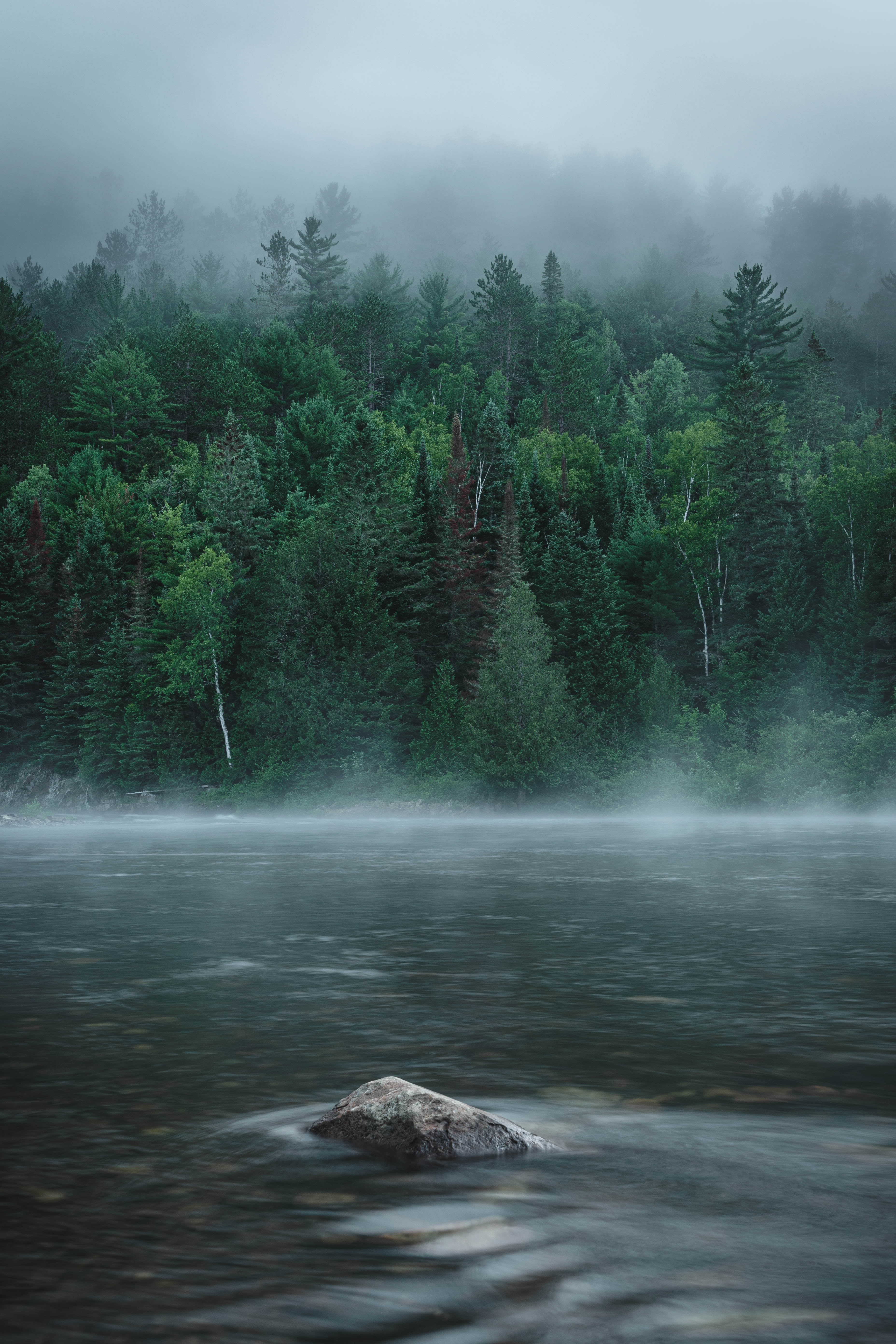 Laden Sie das Bäume, Nebel, Stein, Ein Stein, Natur, Wald, Flüsse-Bild kostenlos auf Ihren PC-Desktop herunter