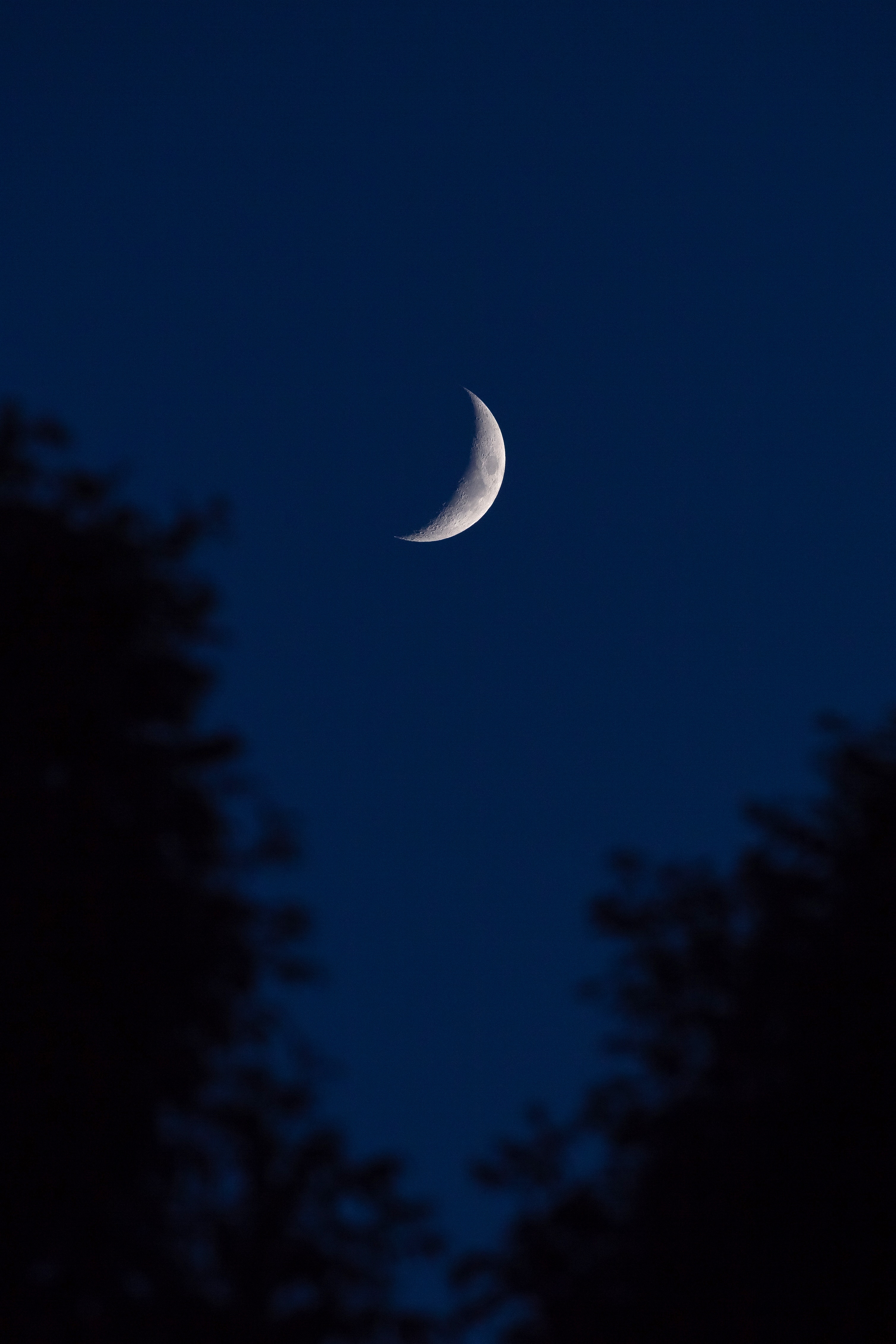 crescent, dark, moon, sky, night, outlines Full HD