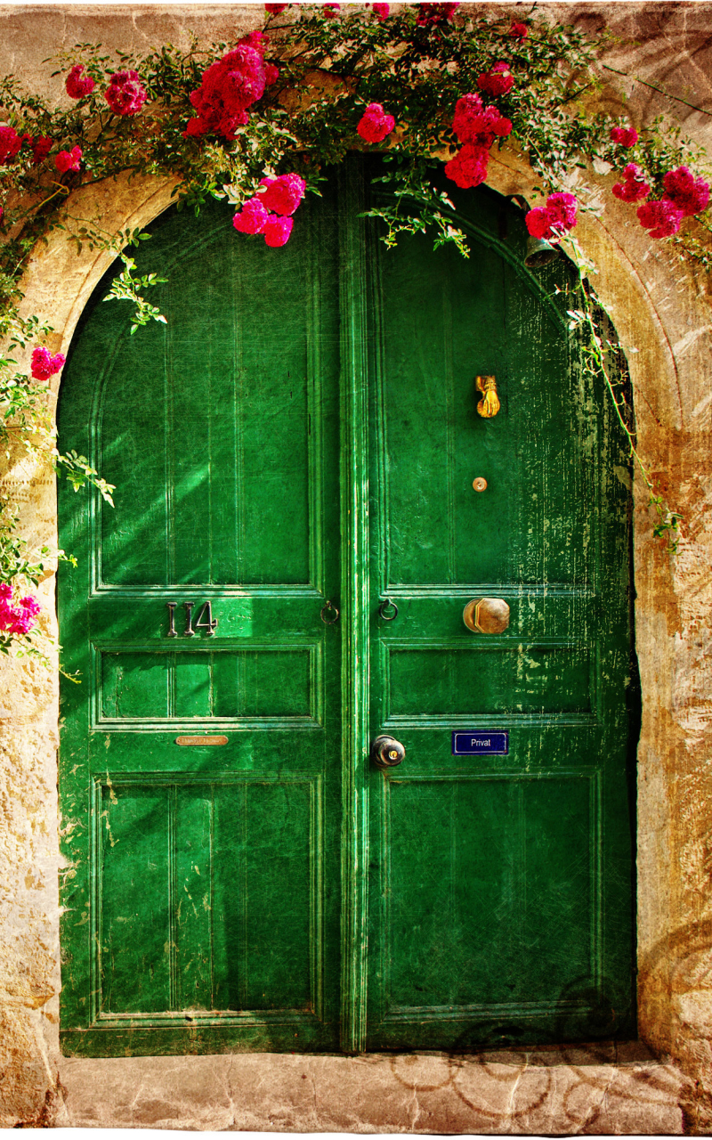 facade, door, man made, house, flower, pink flower Full HD