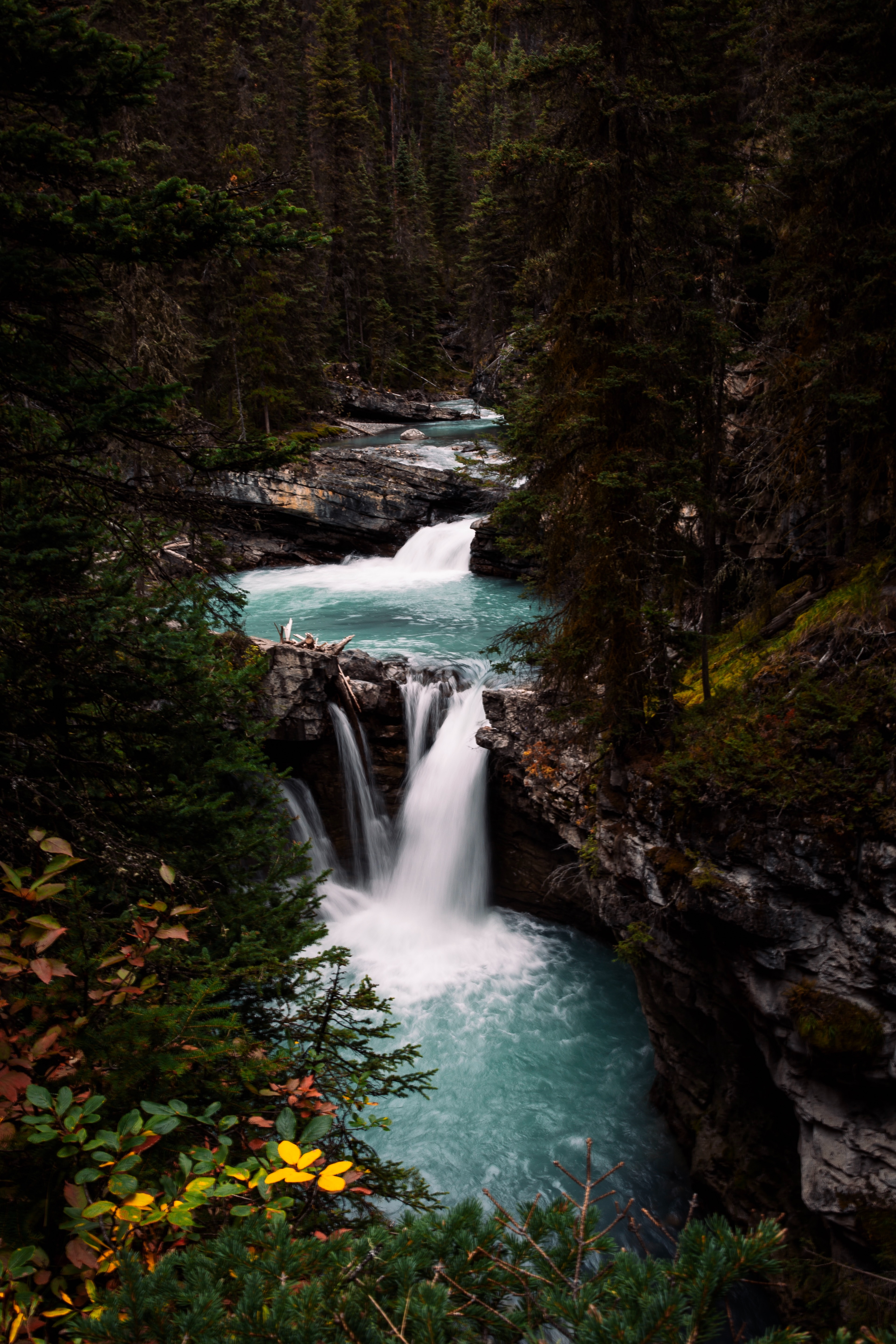 rivers, waterfall, landscape, nature, forest wallpapers for tablet