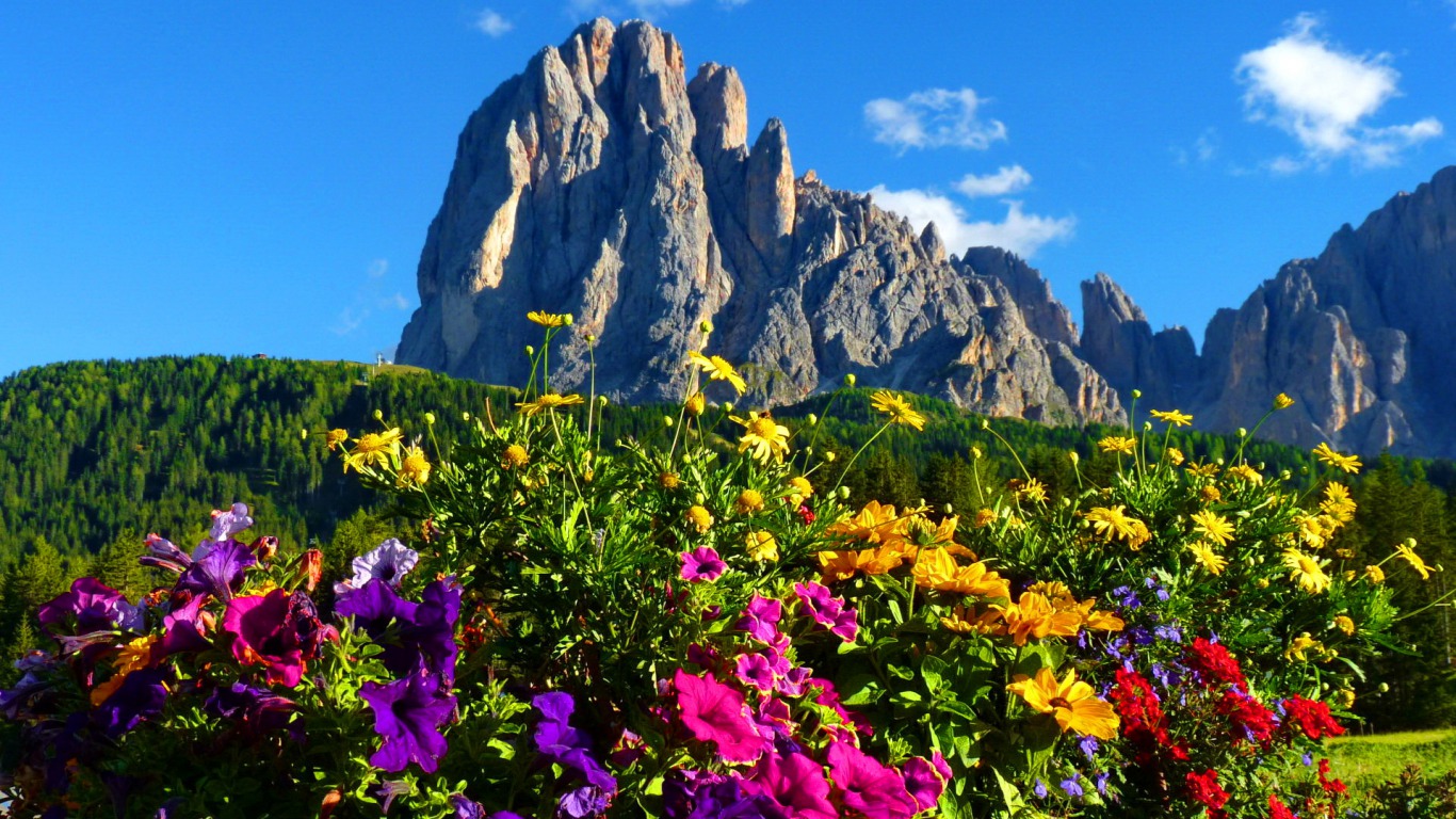Descarga gratuita de fondo de pantalla para móvil de Montañas, Flor, Montaña, Tierra/naturaleza.