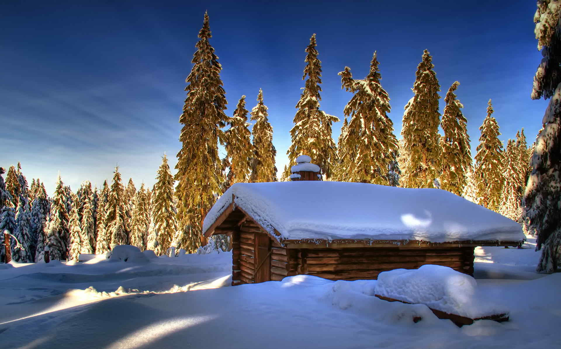 Téléchargez des papiers peints mobile Hiver, Forêt, Arbre, Cabane, Construction Humaine, Neiger gratuitement.