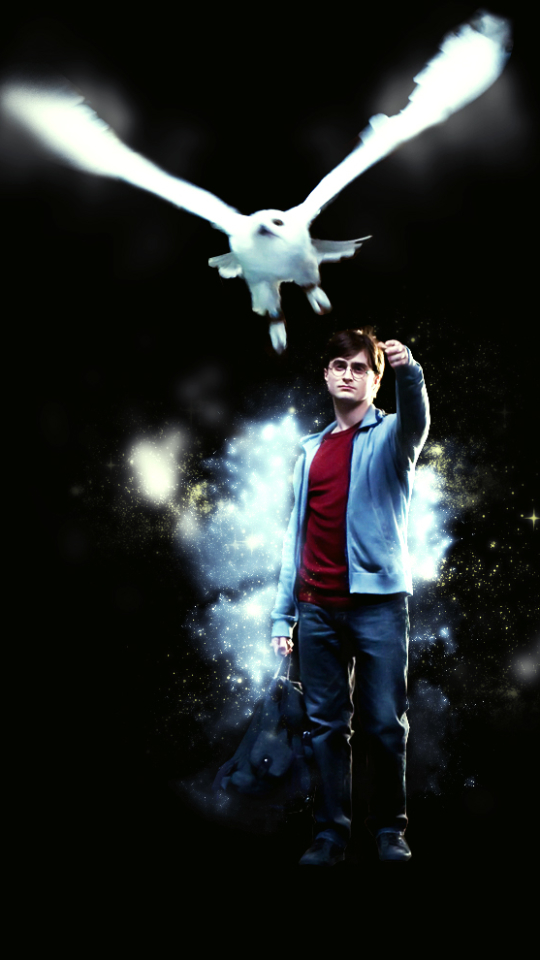 Descarga gratuita de fondo de pantalla para móvil de Búho, Harry Potter, Daniel Radcliffe, Películas, Harry Potter Y Las Reliquias De La Muerte Parte 1.