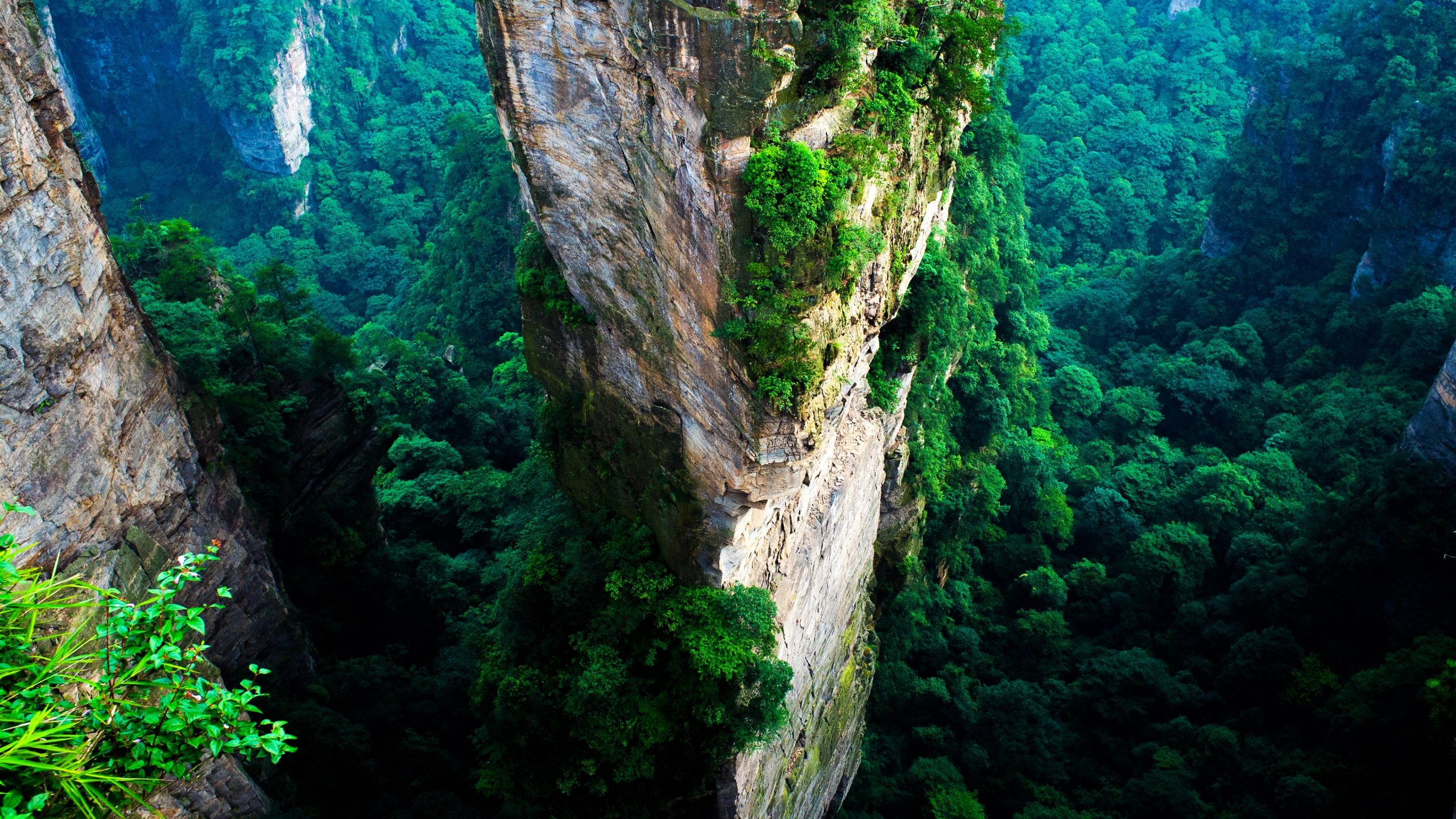 Download mobile wallpaper Rock, Mountain, Forest, Earth, Cliff, China, Wulingyuan for free.