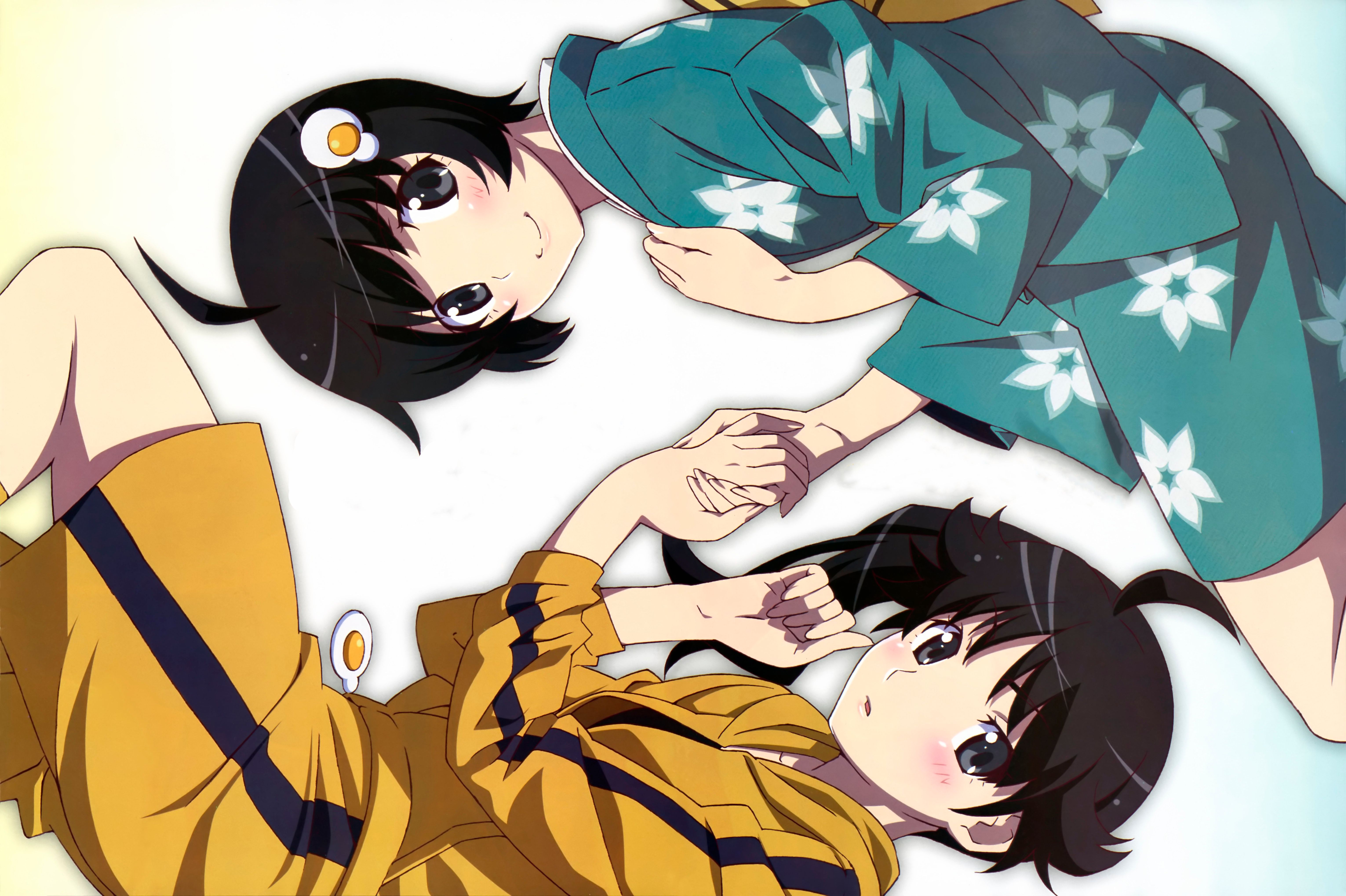 Download mobile wallpaper Anime, Monogatari (Series), Karen Araragi, Tsukihi Araragi for free.