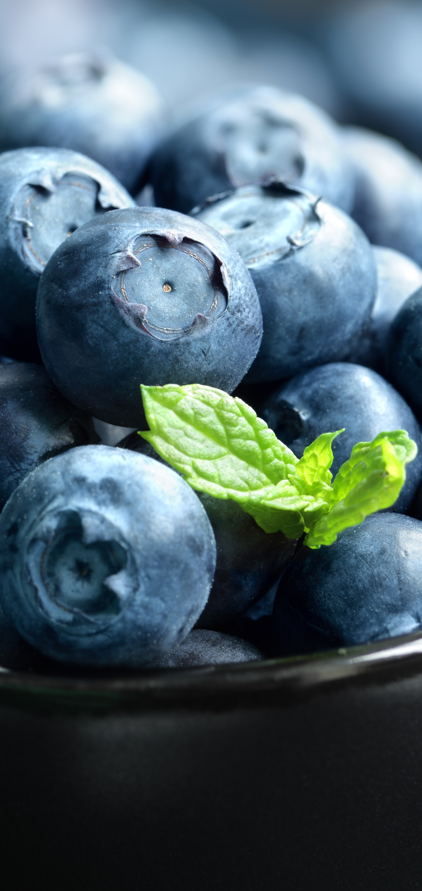 Download mobile wallpaper Food, Blueberry, Berry for free.