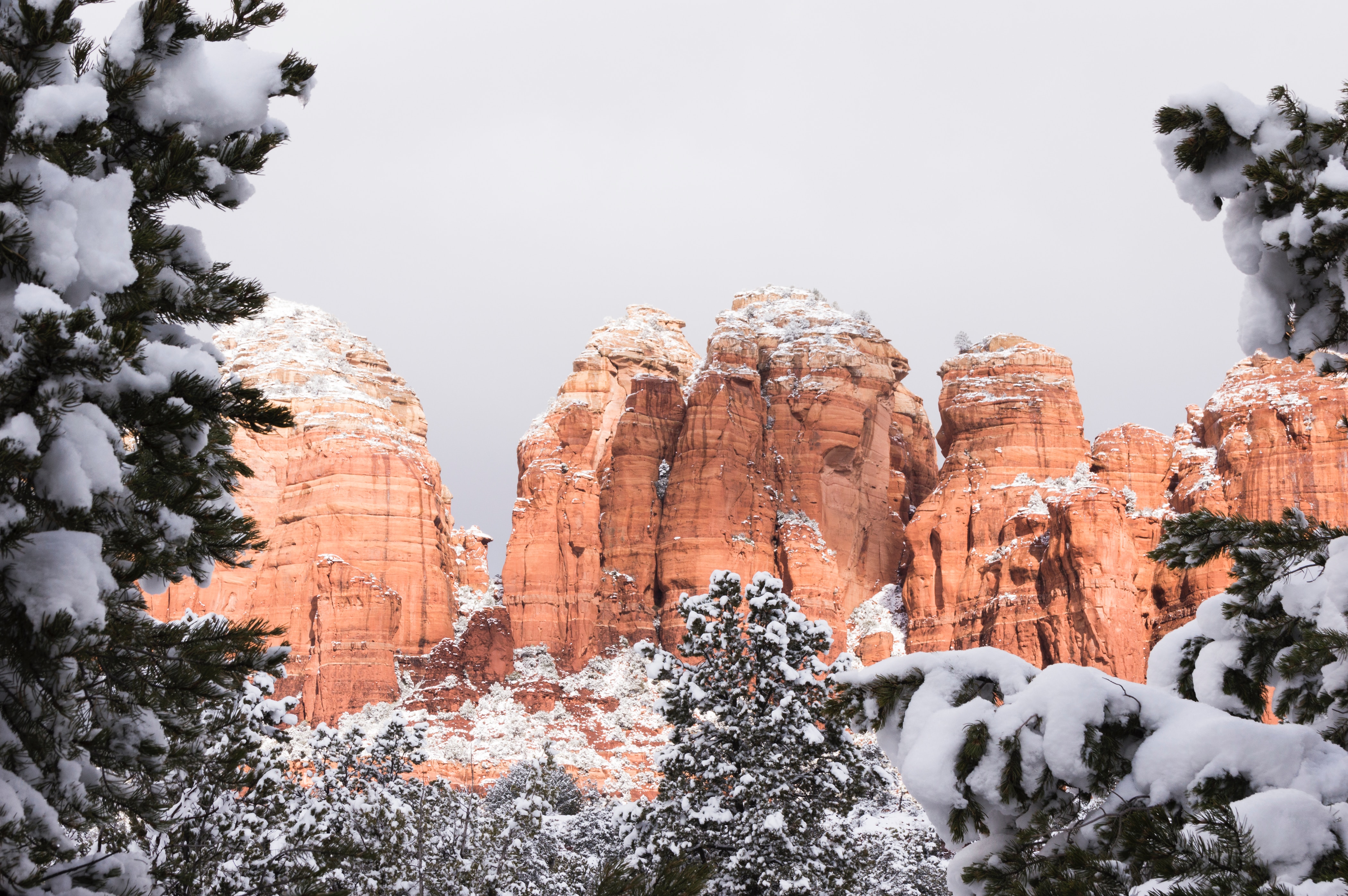 Download mobile wallpaper Rocks, Winter, Snow, Trees, Canyon, Nature for free.