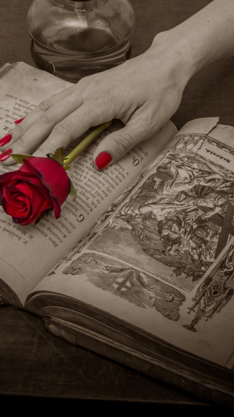 Download mobile wallpaper Hand, Rose, Book, Man Made, Religious for free.