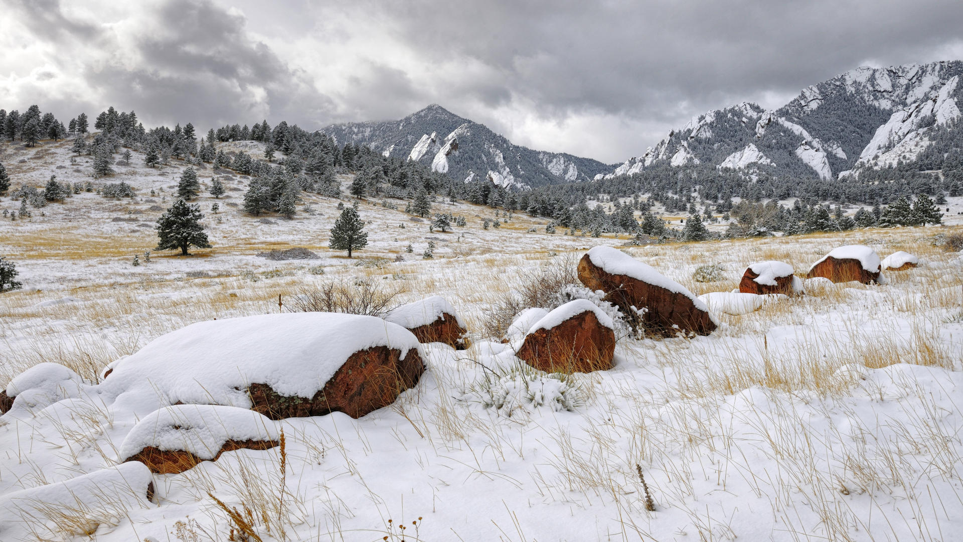 Descarga gratis la imagen Invierno, Tierra/naturaleza en el escritorio de tu PC