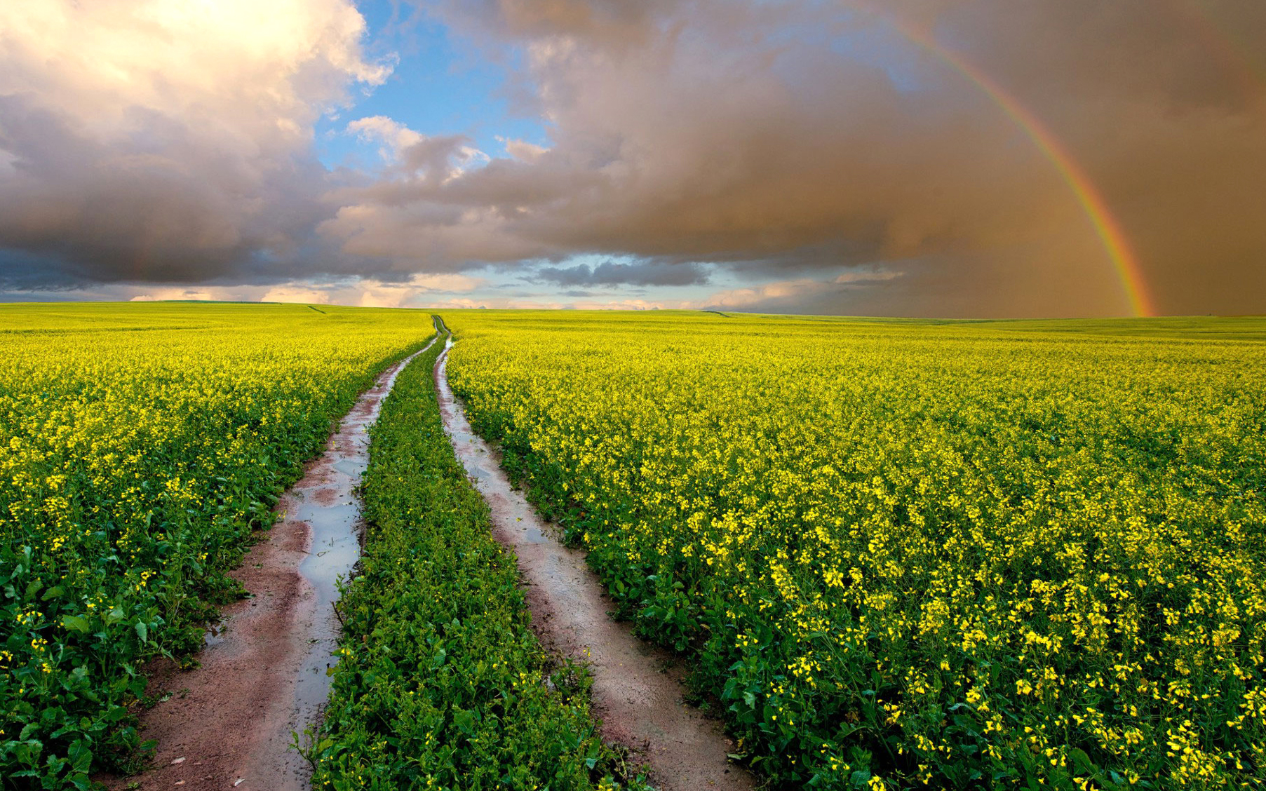 Download mobile wallpaper Landscape, Nature, Sky, Rainbow, Earth, Field, Cloud for free.
