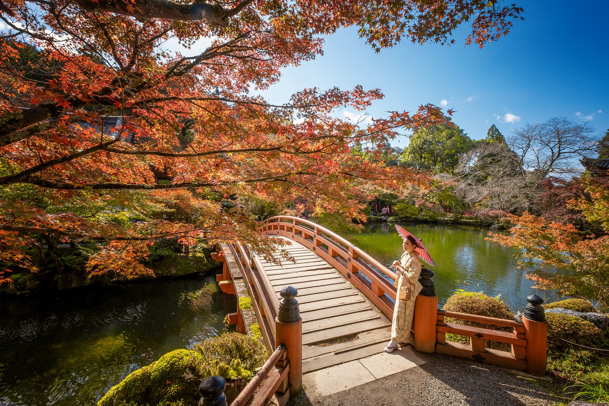 Скачать картинку Осень, Парк, Мост, Япония, Зонтики, Модель, Женщины в телефон бесплатно.