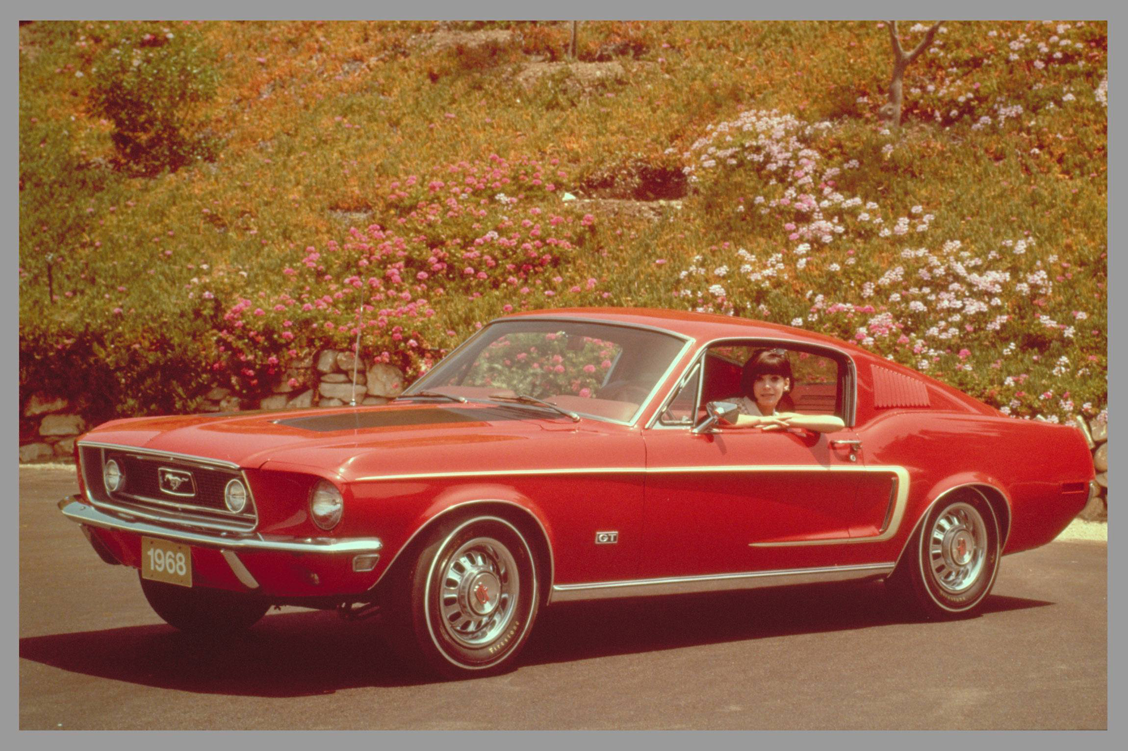 Téléchargez des papiers peints mobile Ford Mustang, Véhicules, Gué gratuitement.