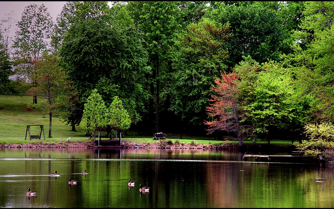 Baixe gratuitamente a imagem Lago, Fotografia na área de trabalho do seu PC