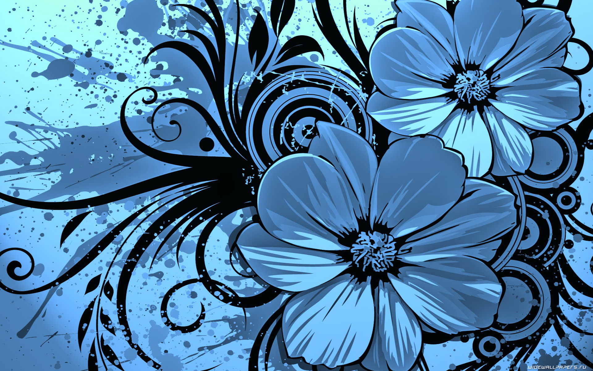 Laden Sie das Blumen, Hintergrund, Bilder-Bild kostenlos auf Ihren PC-Desktop herunter