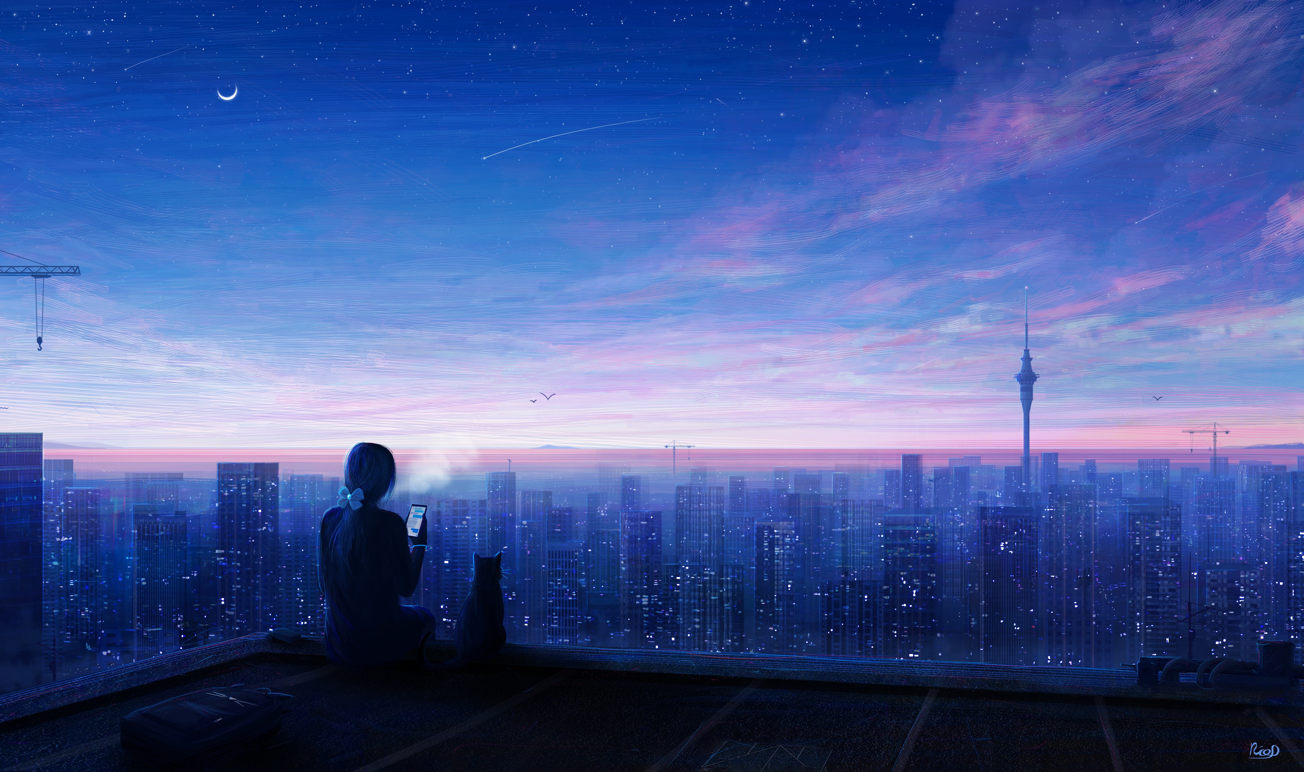 Free download wallpaper Anime, Night, City, Cat, Girl on your PC desktop