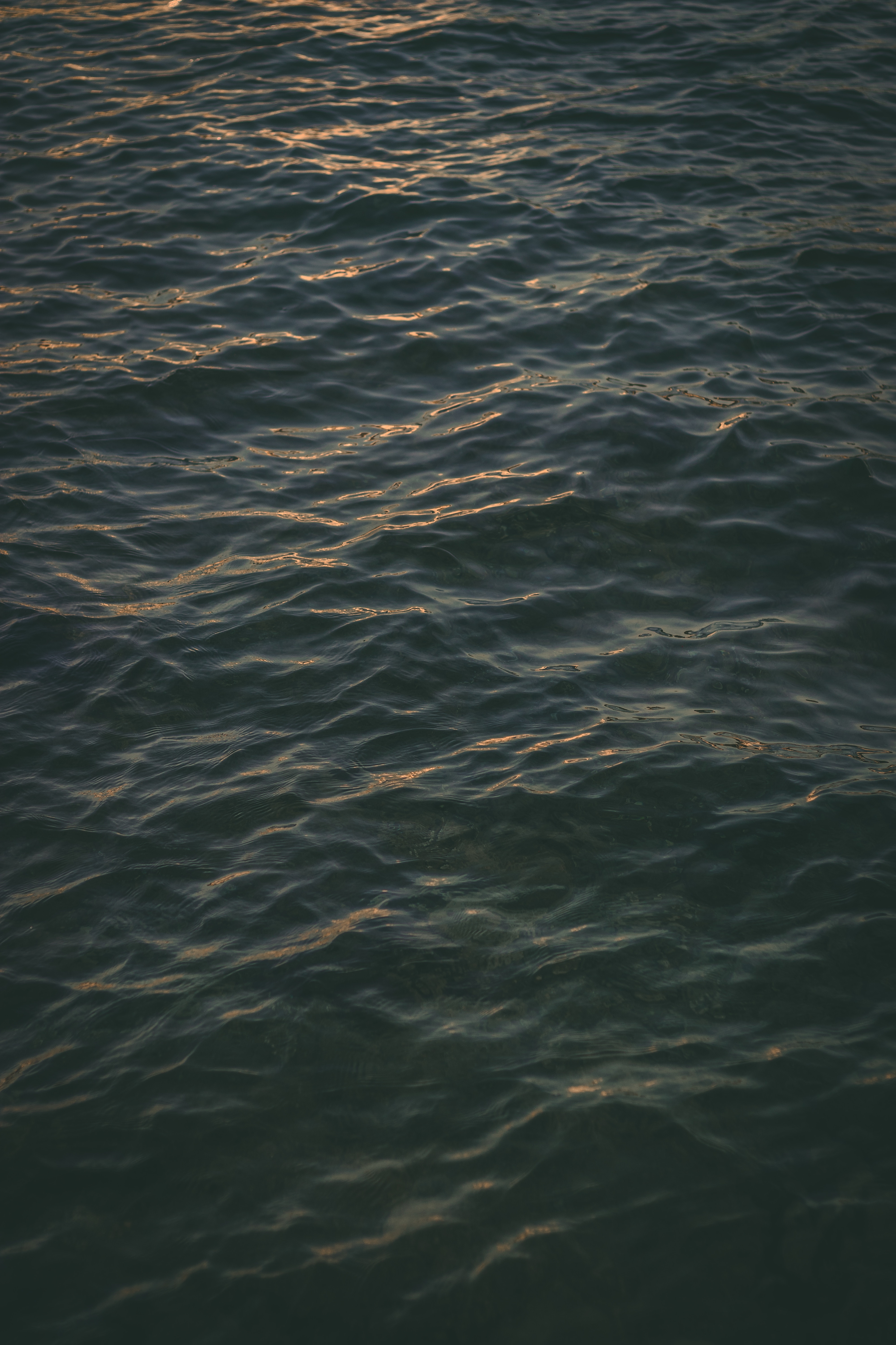 sea, dark, nature, ripples, ripple, surface Phone Background