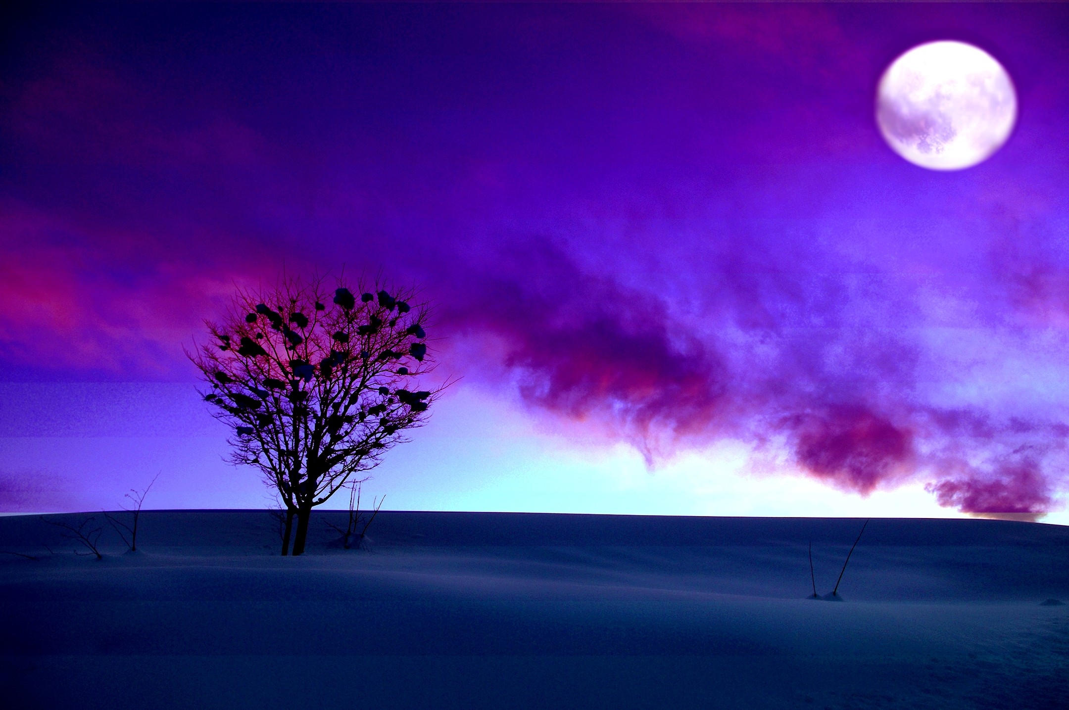 Скачать картинку Зима, Закат, Луна, Силуэт, Дерево, Пурпурный, Земля/природа в телефон бесплатно.