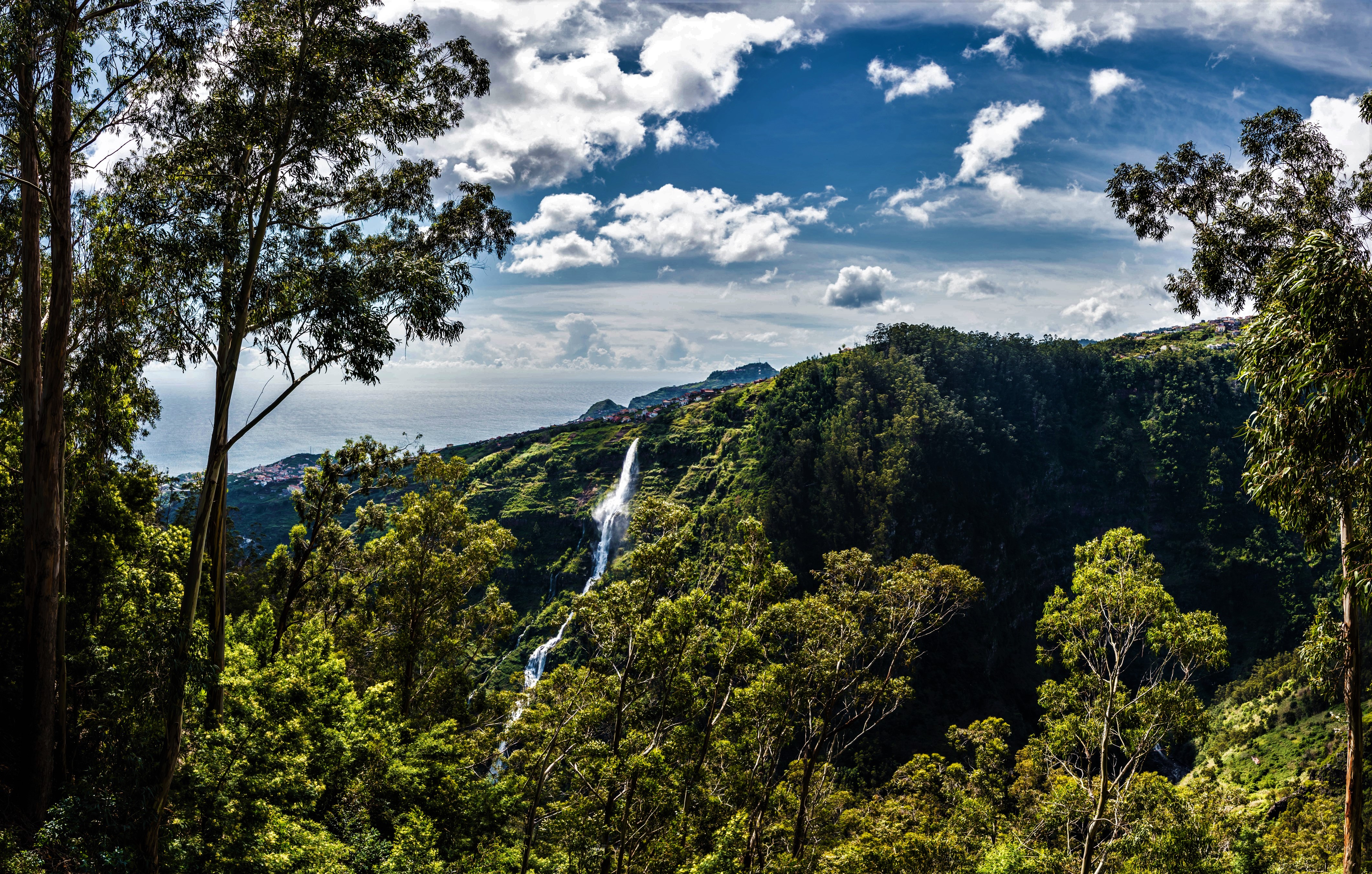 Скачать обои бесплатно Водопады, Водопад, Лес, Португалия, Земля/природа картинка на рабочий стол ПК
