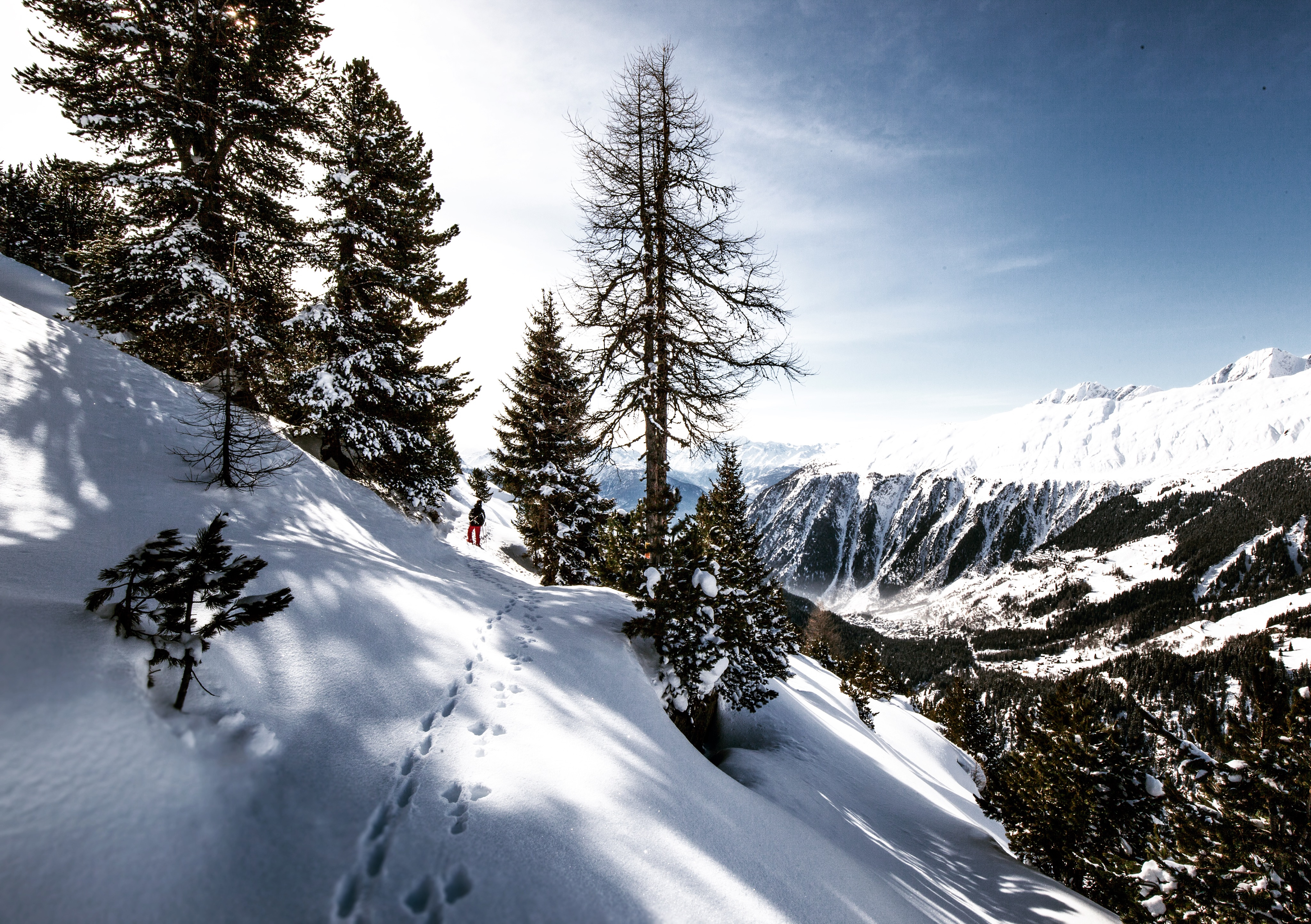 53118 télécharger le fond d'écran nature, montagnes, neige, traces, skieur - économiseurs d'écran et images gratuitement