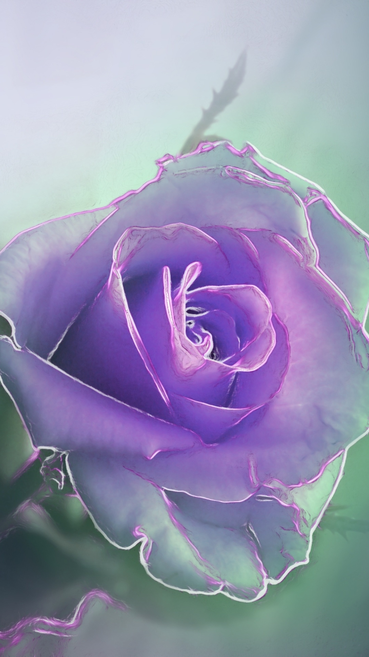 Download mobile wallpaper Flower, Rose, Artistic, Purple Flower for free.