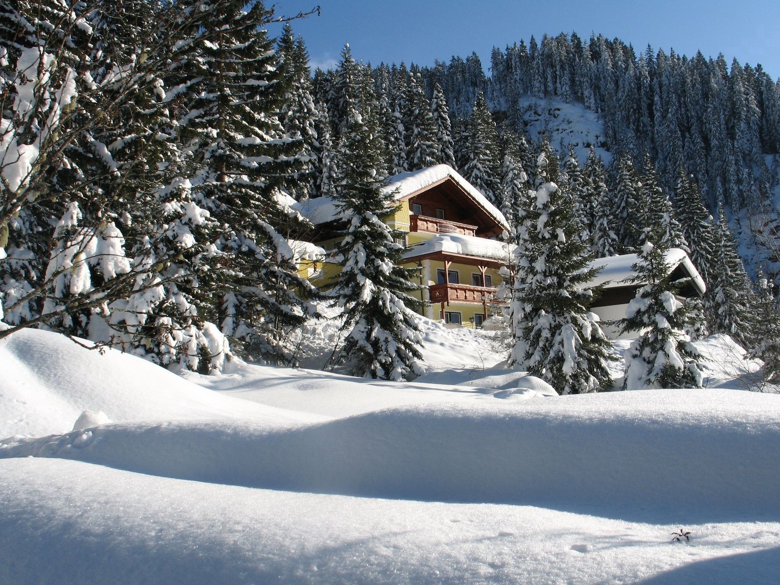 nature, trees, snow, conifers, coniferous, house, drifts, ate, hotel