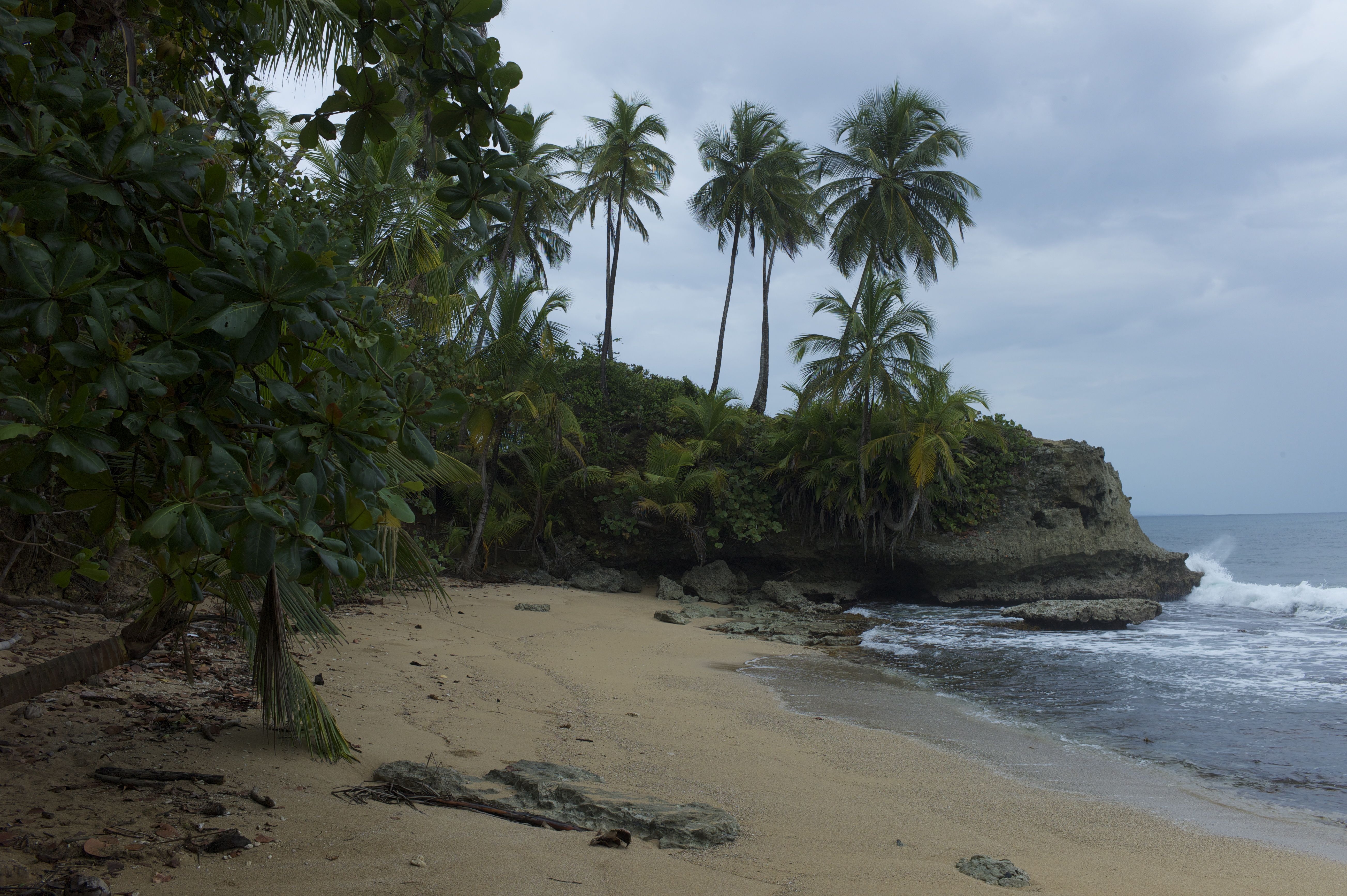 Download mobile wallpaper Shore, Bank, Nature, Sea, Palms, Landscape for free.