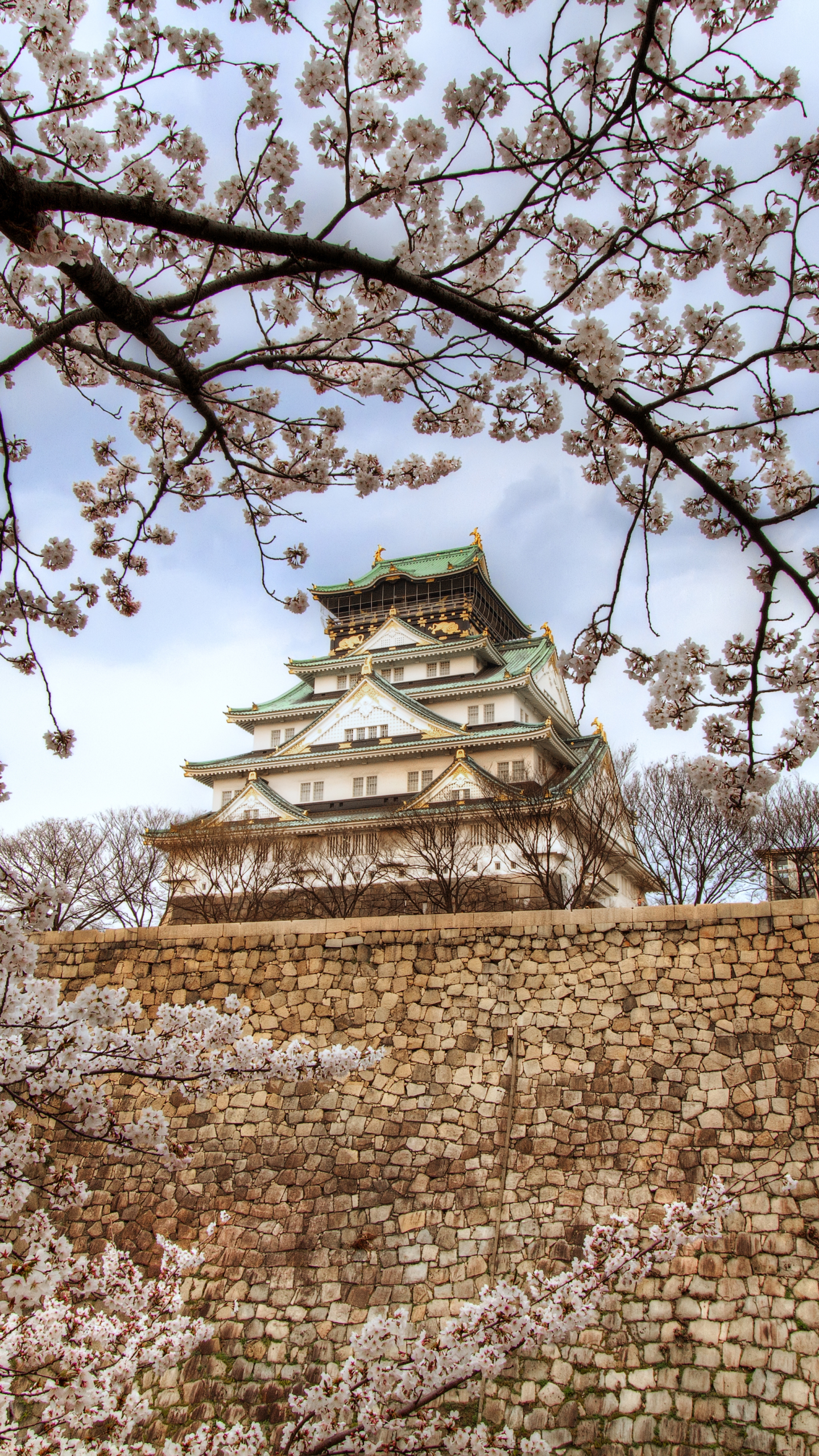 Laden Sie das Schlösser, Sakura, Japan, Frühling, Kirschblüte, Osaka, Menschengemacht, Osaka Schloss-Bild kostenlos auf Ihren PC-Desktop herunter