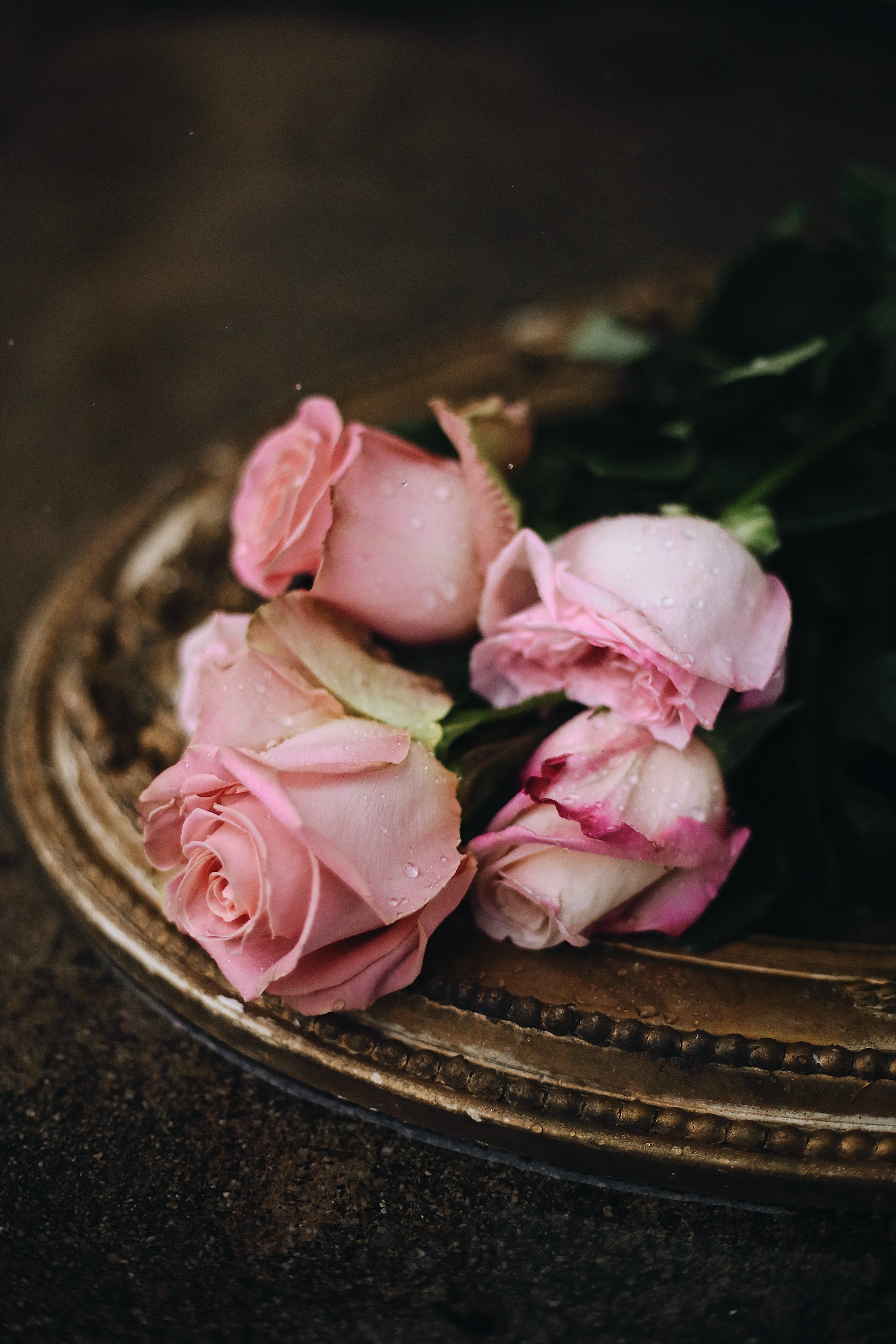 Download mobile wallpaper Flowers, Drops, Pink, Roses for free.