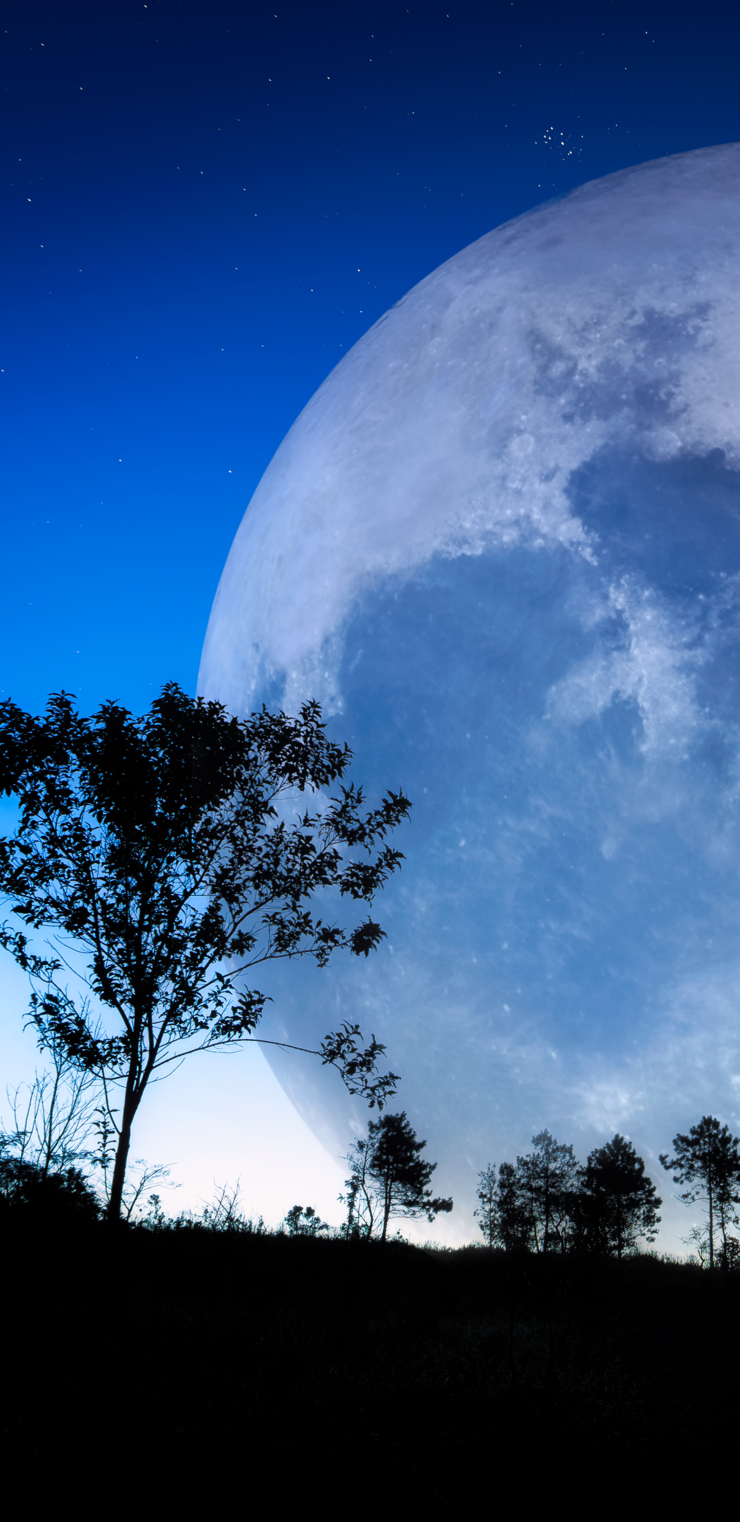 Baixar papel de parede para celular de Céu, Noite, Lua, Terra/natureza gratuito.