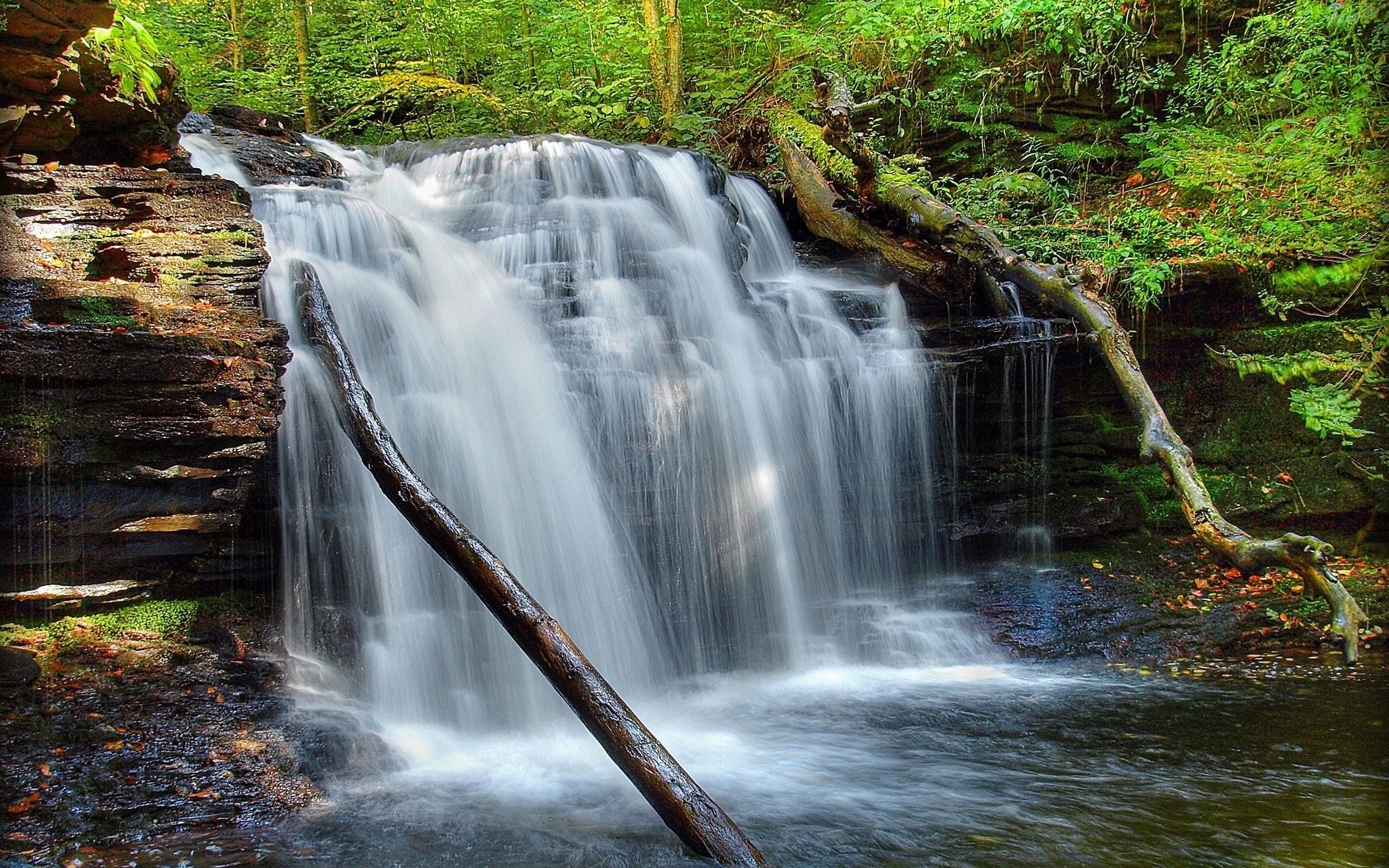 rivers, nature, grass, waterfall, moss Smartphone Background