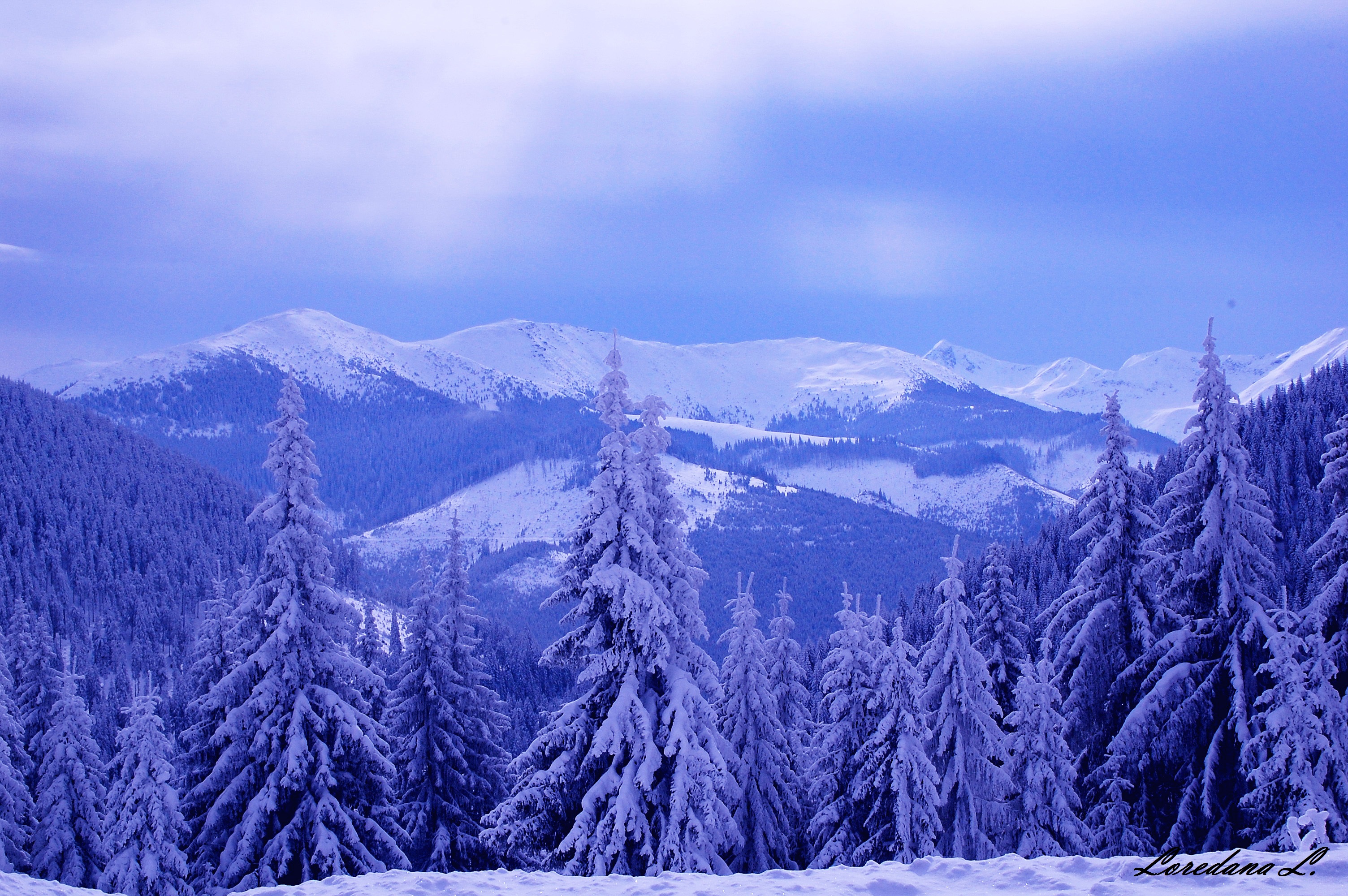 Download mobile wallpaper Landscape, Winter, Nature, Snow, Mountain, Forest, Tree, Earth for free.