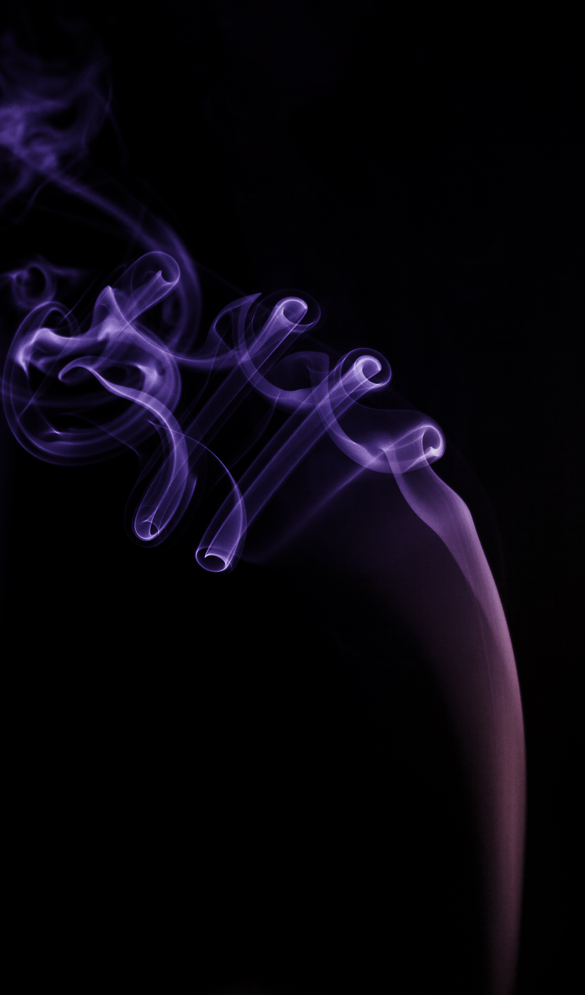 violet, abstract, smoke, black, purple, twisting, torsion
