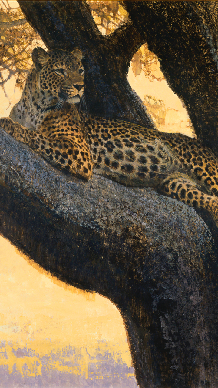 Download mobile wallpaper Cats, Leopard, Animal for free.